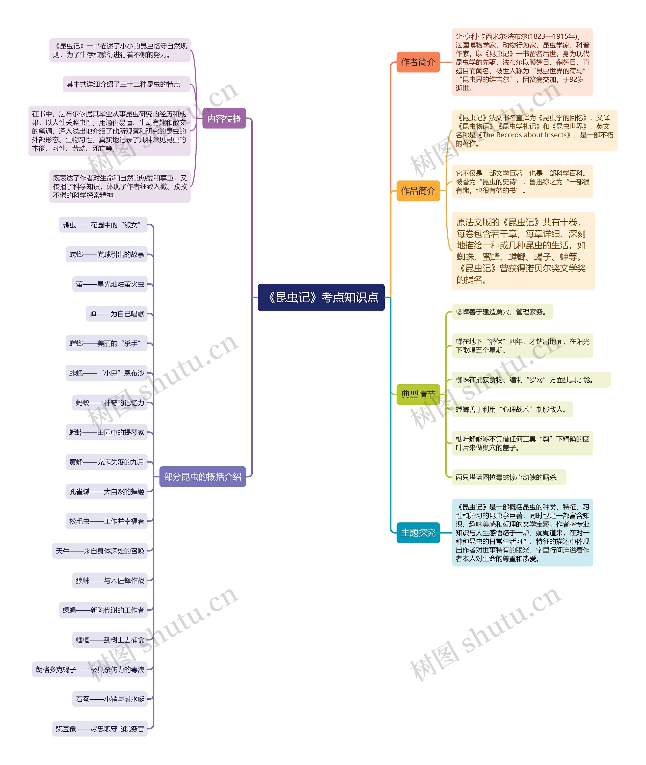 《昆虫记》考点知识点思维导图