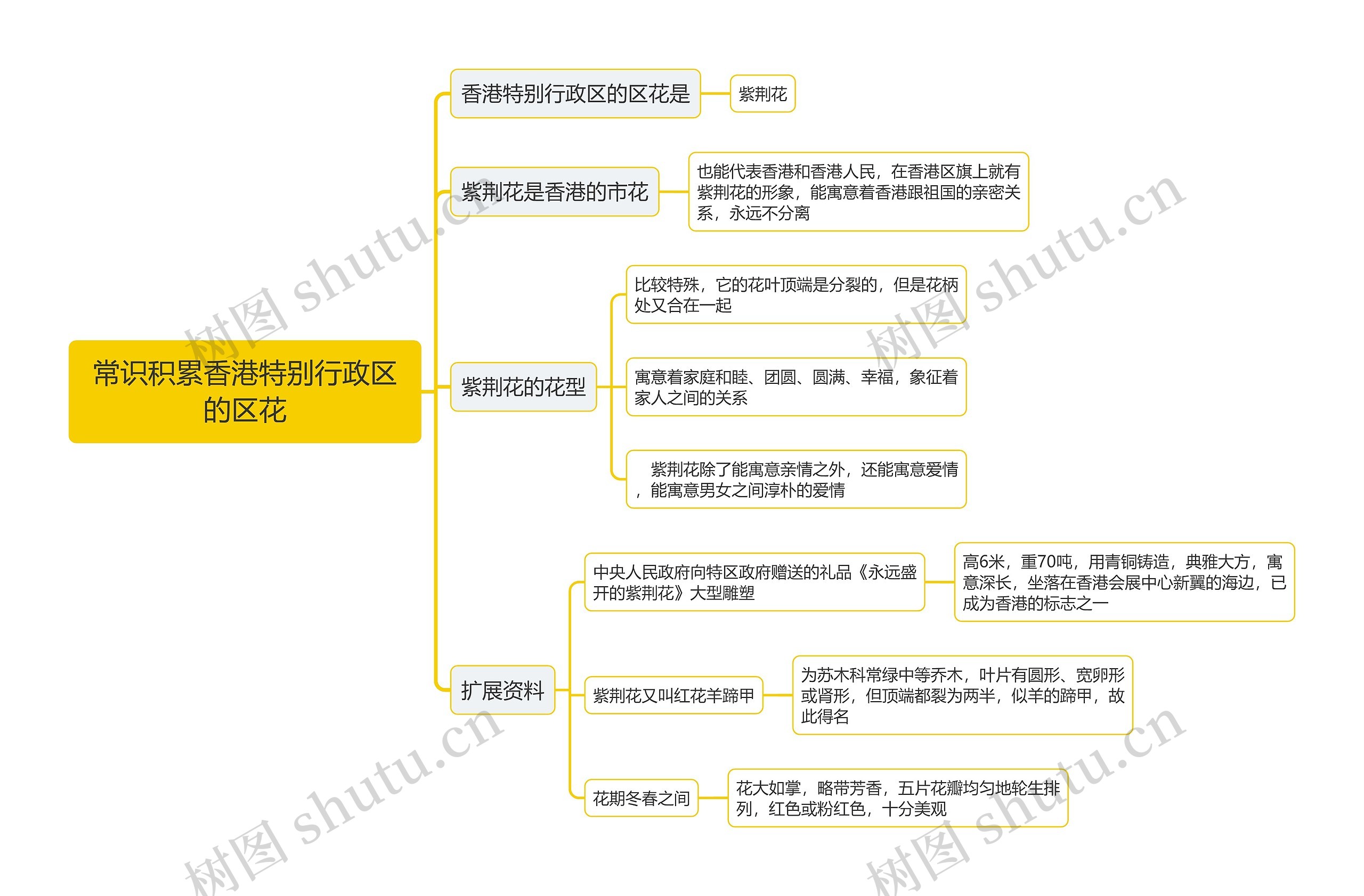 香港特别行政区的区花思维导图