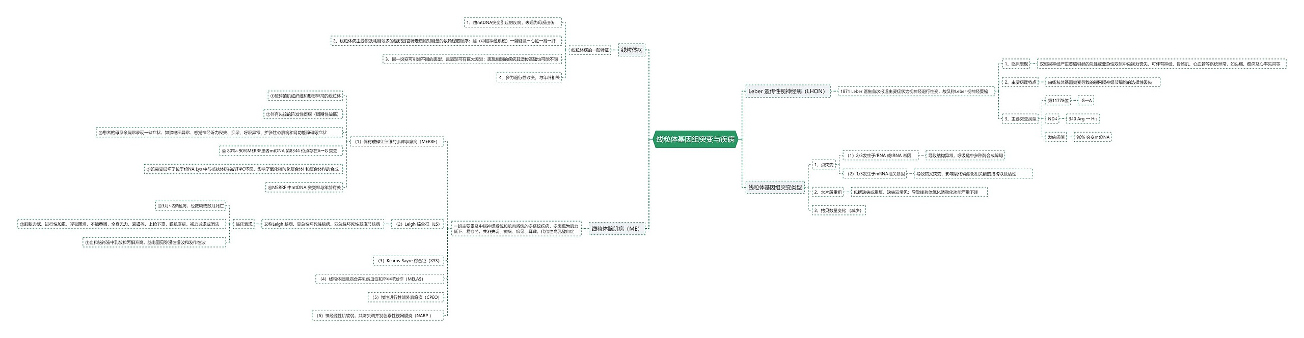 线粒体基因组突变与疾病思维导图