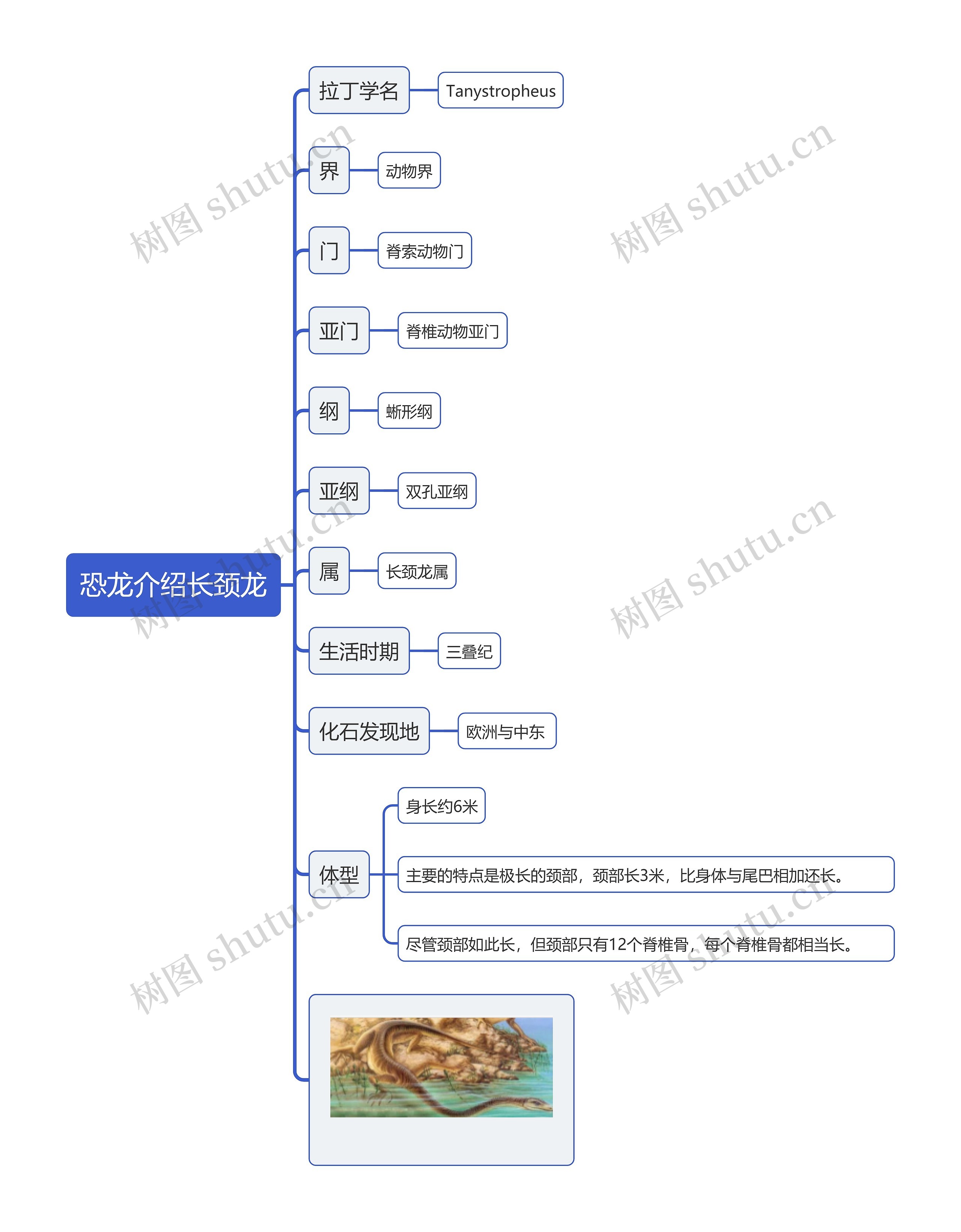 恐龙介绍长颈龙