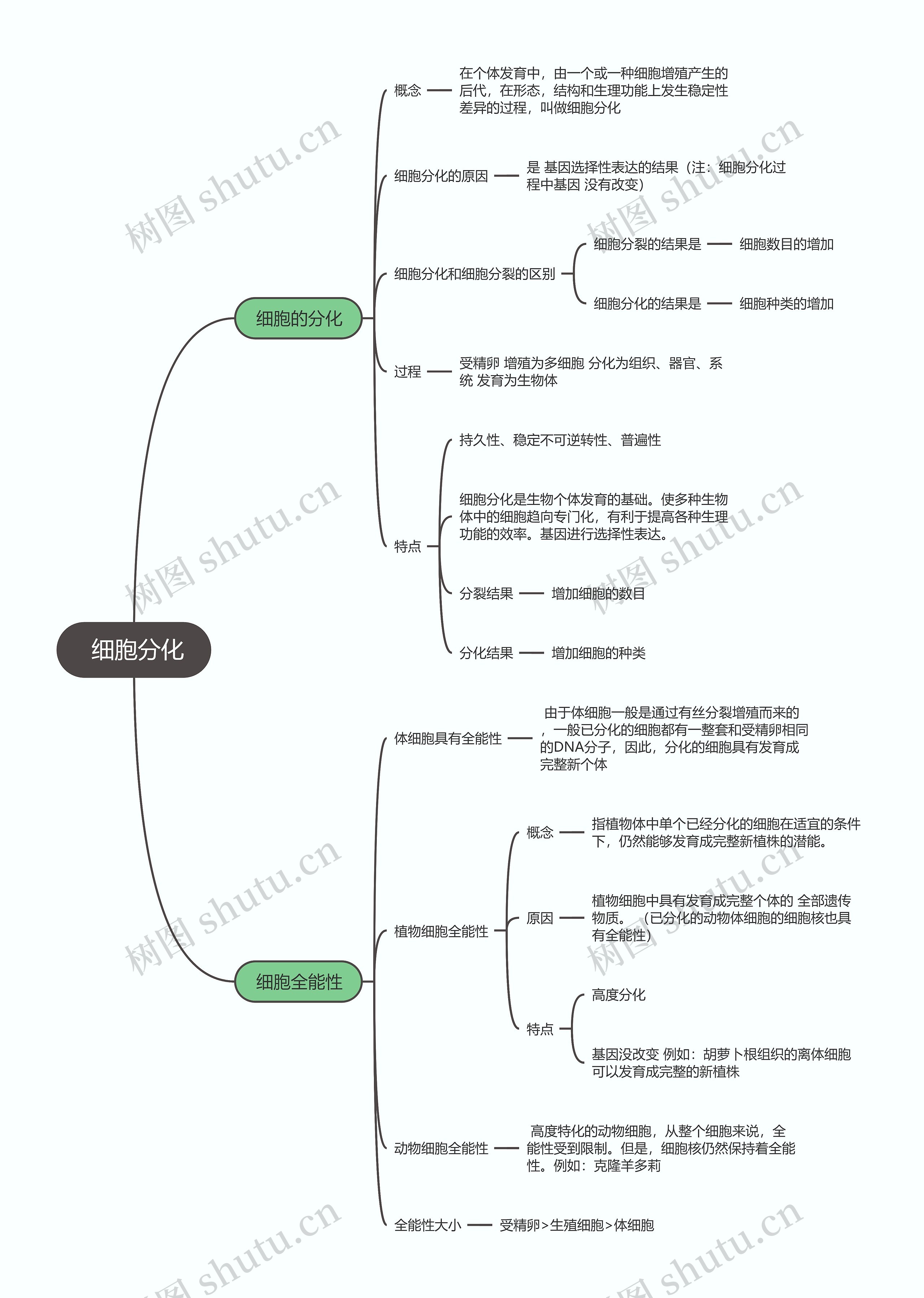  生物必修一  细胞分化