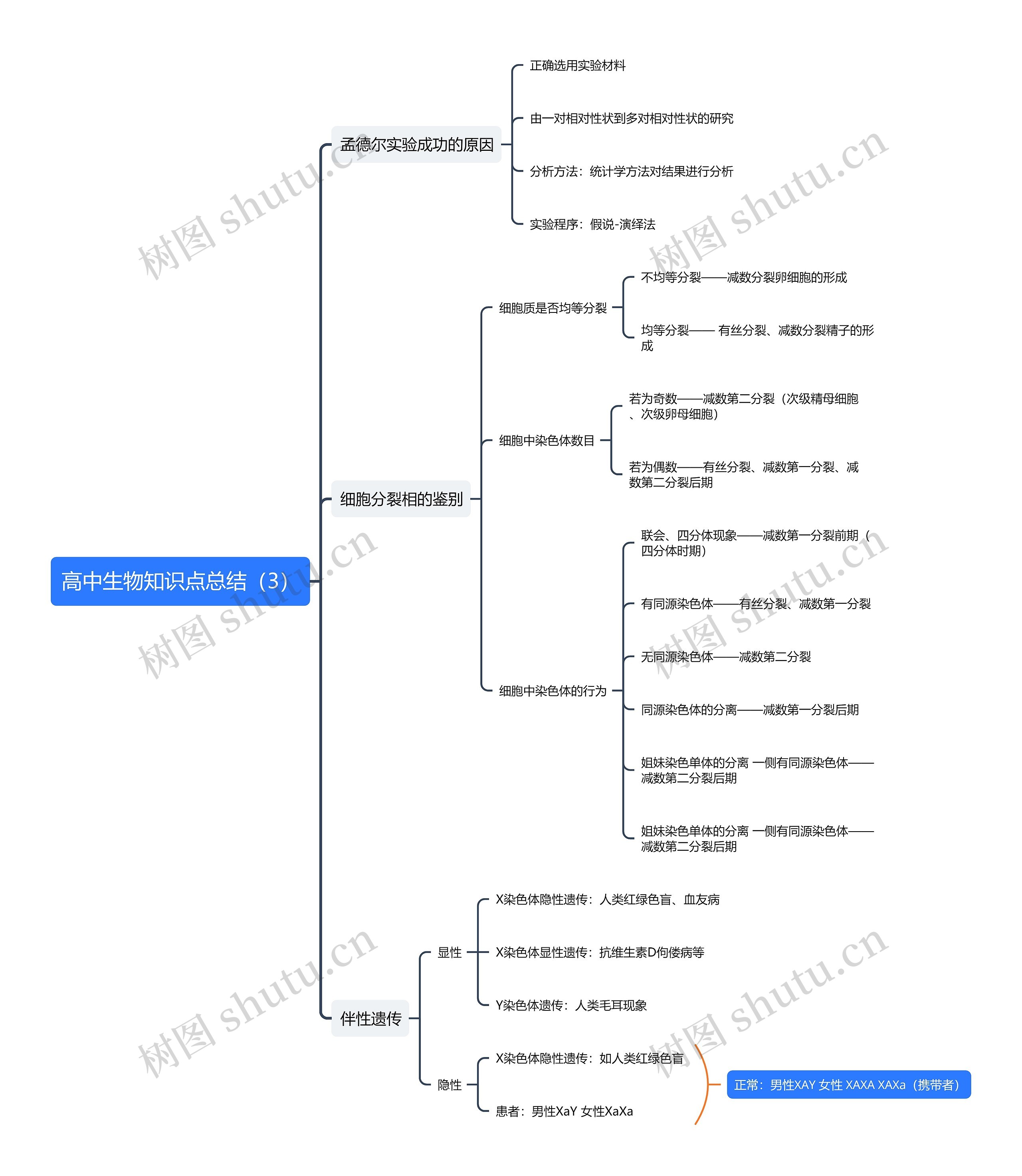 高中生物知识点总结（3）思维导图