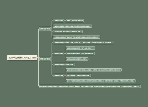 政府单位会计核算的基本特点思维导图