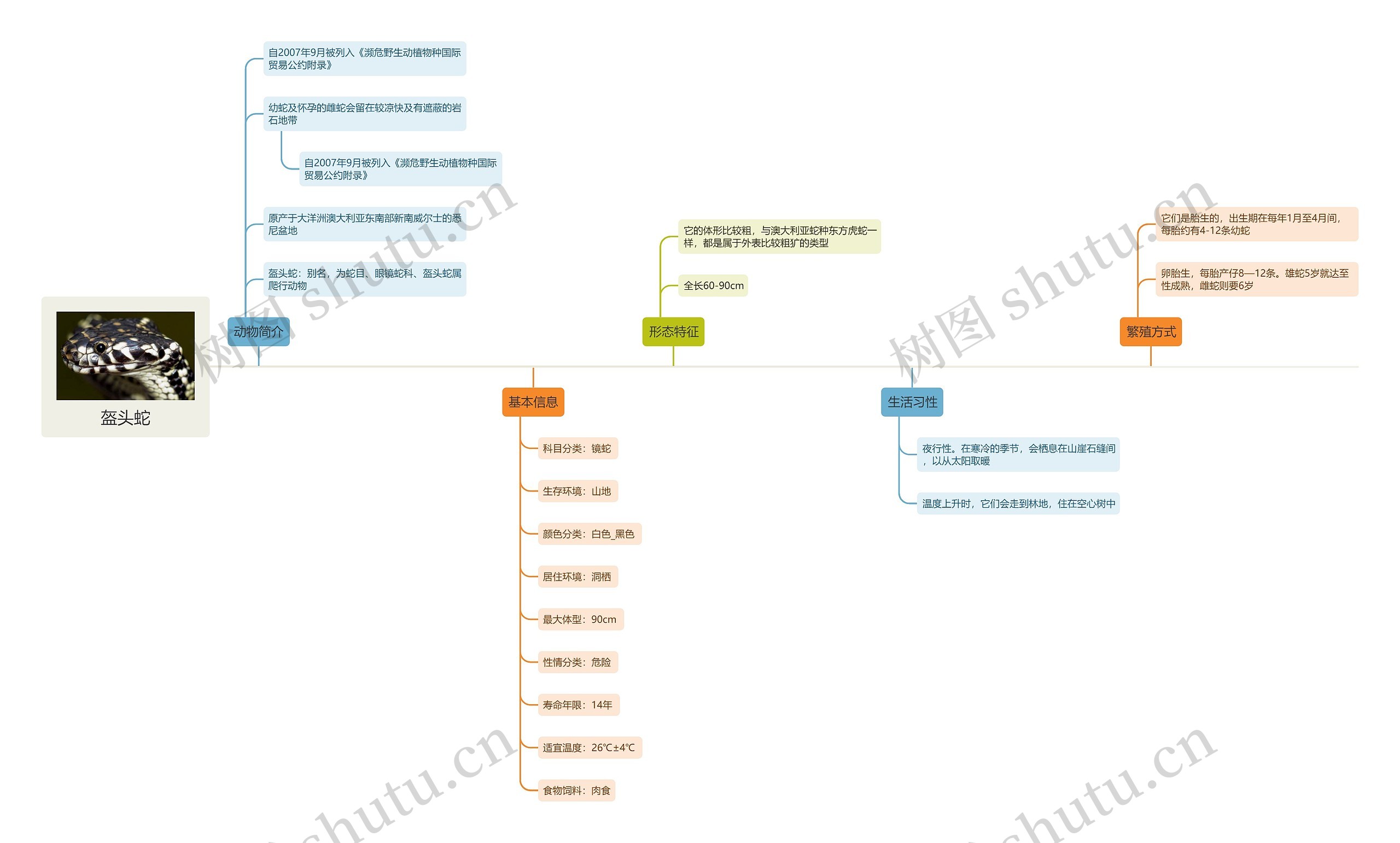 盔头蛇思维导图