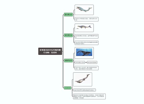 非常著名的中生代海洋爬行动物：沧龙科思维导图