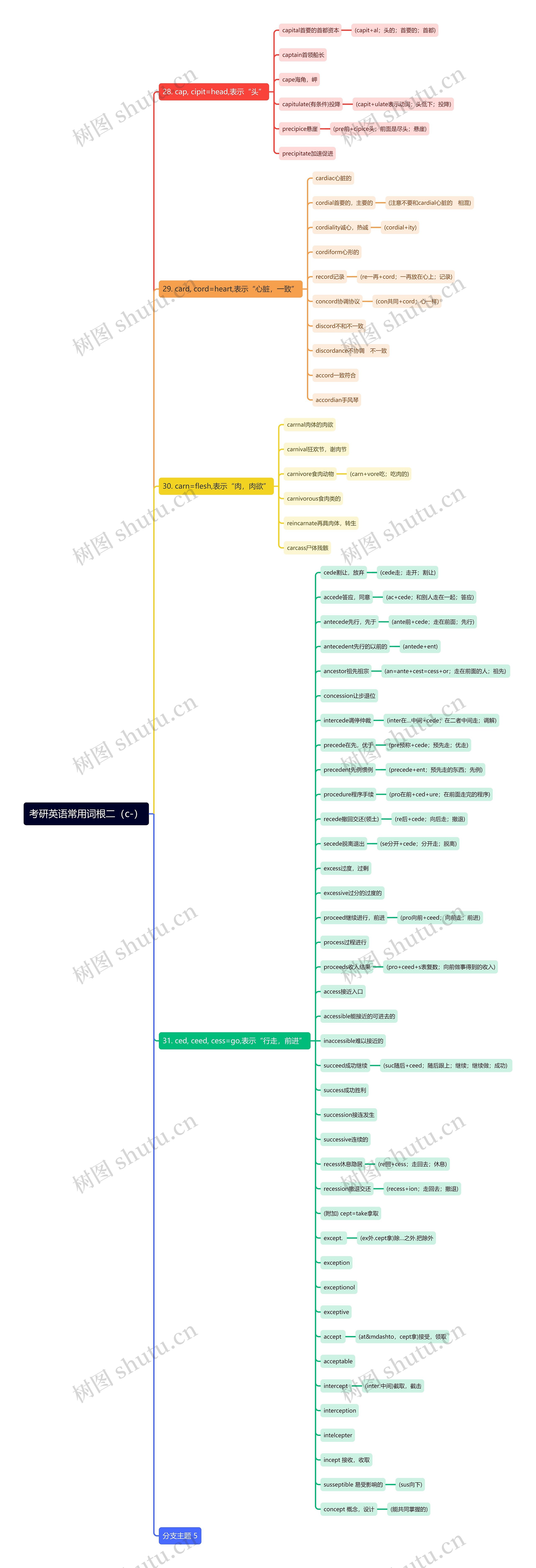 考研英语常用词根（c-）2思维导图