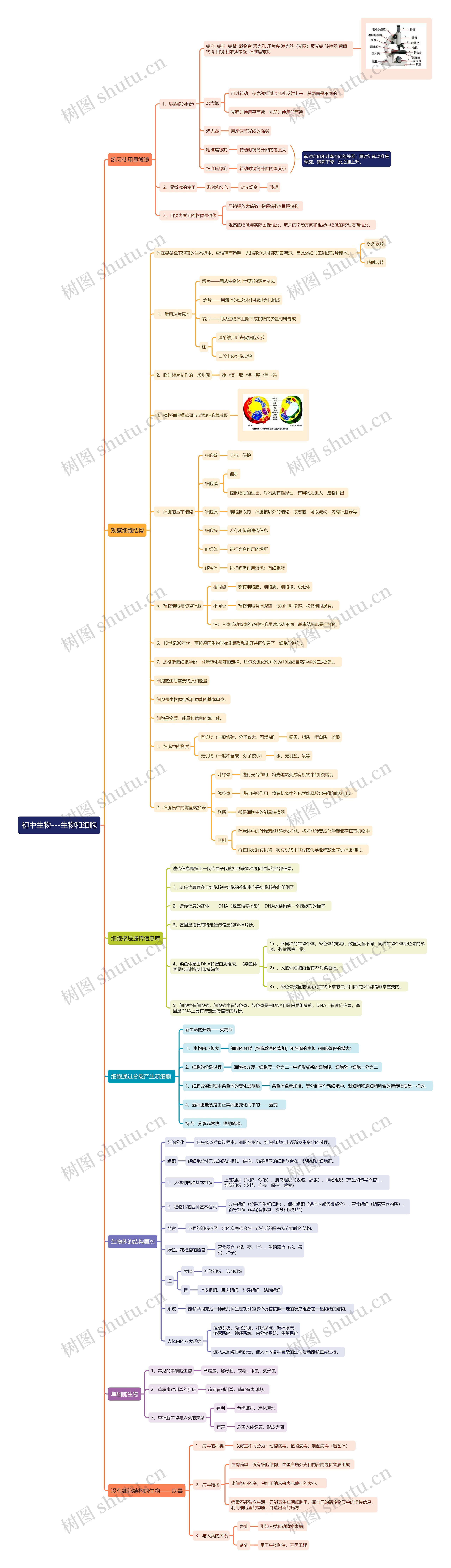 初中生物——生物和细胞思维导图