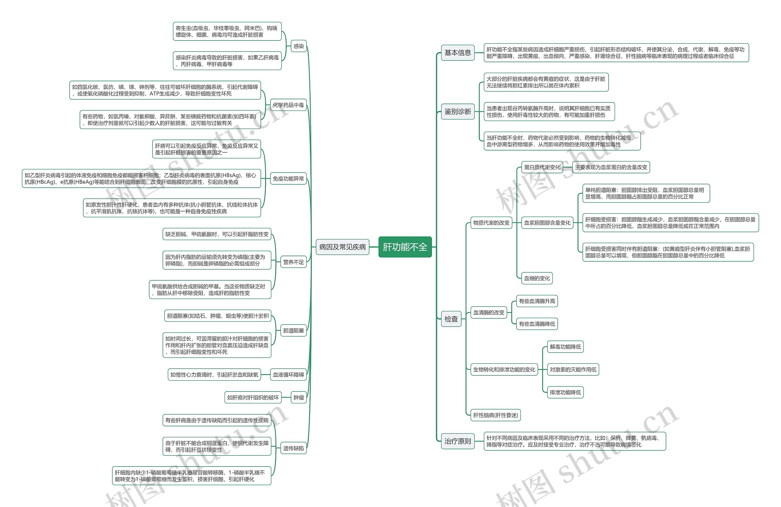 肝功能不全思维导图