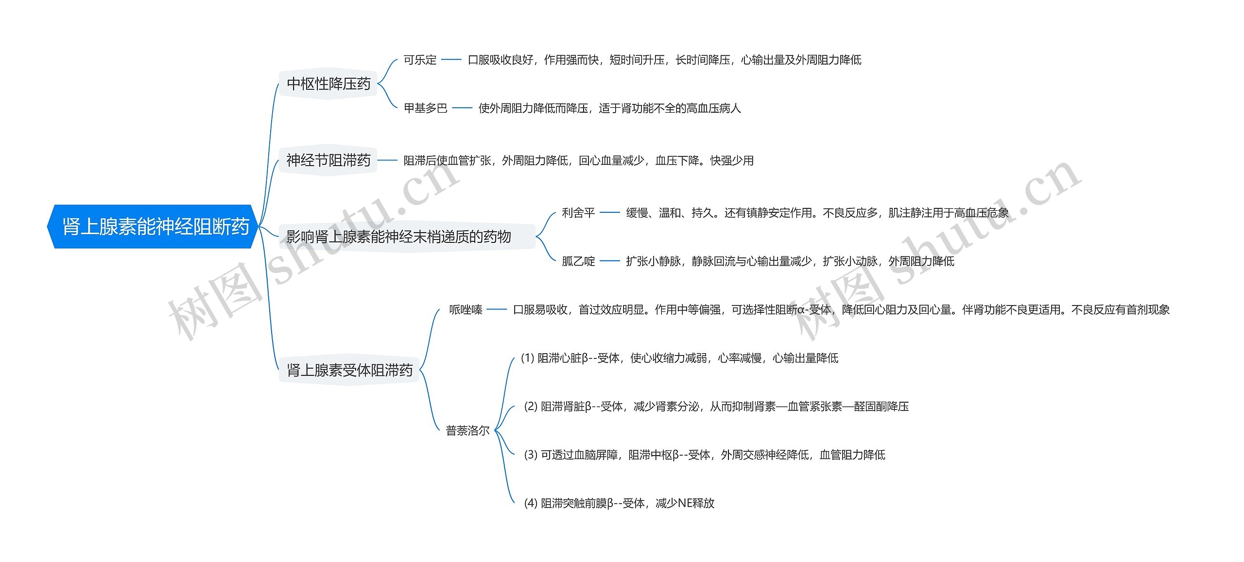  肾上腺素能神经阻断药思维导图