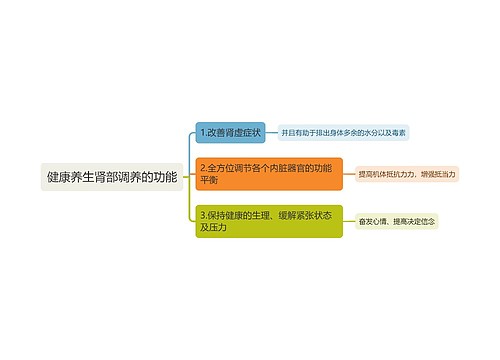 健康养生肾部调养的功能思维导图