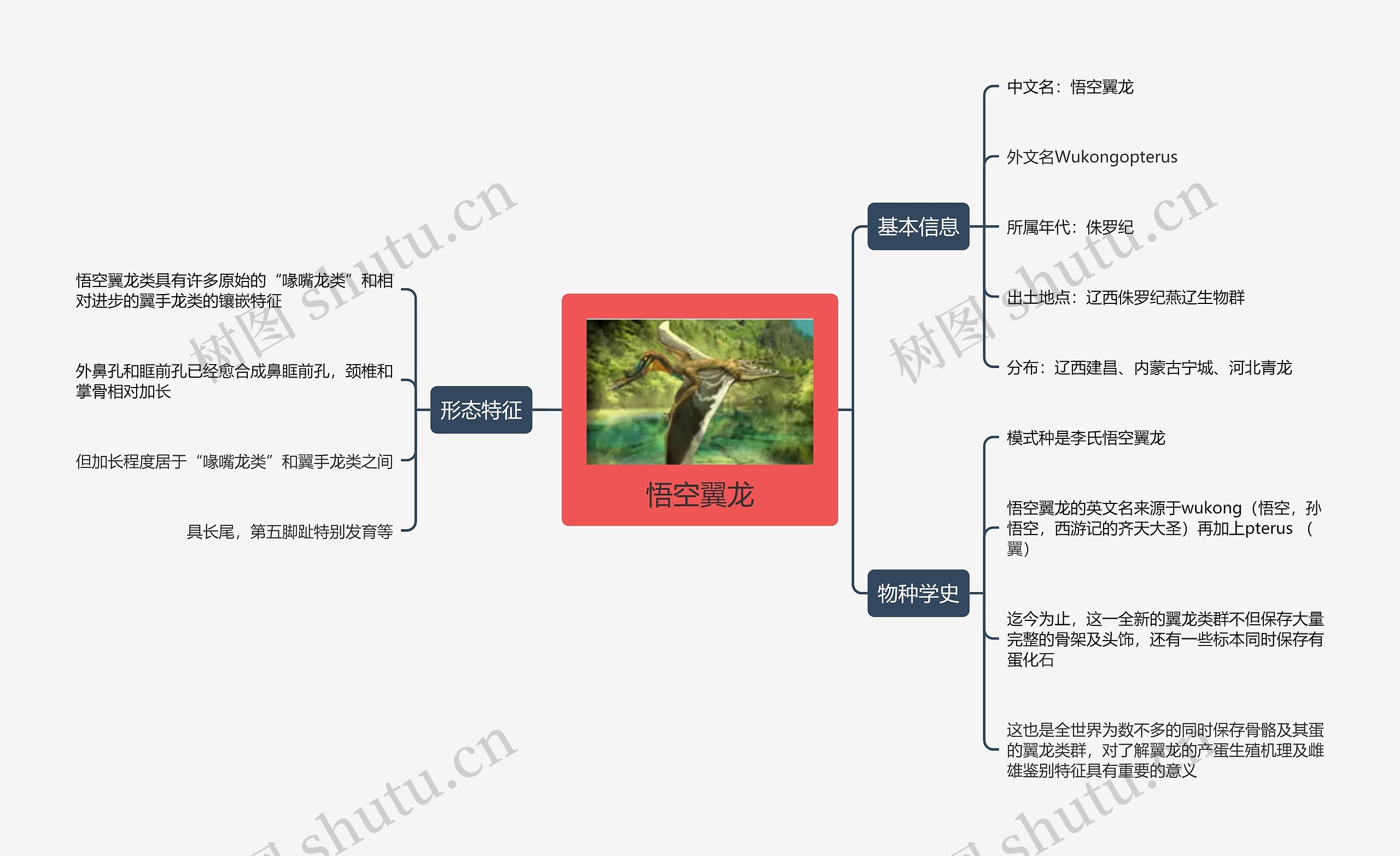 悟空翼龙思维导图