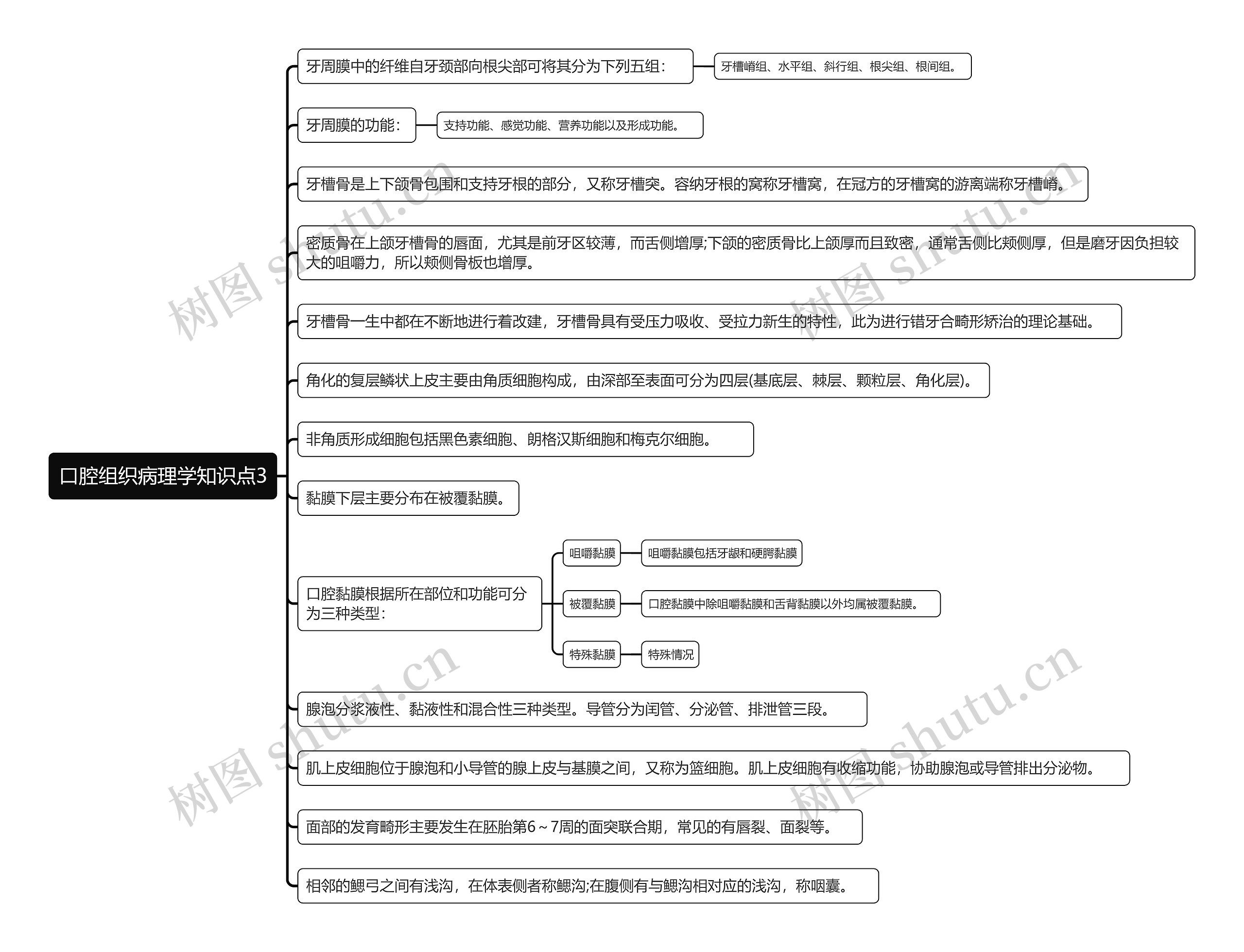 口腔组织病理学知识点3