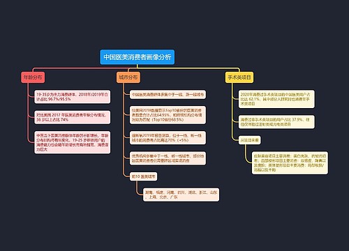 中国医美消费者画像分析预览图