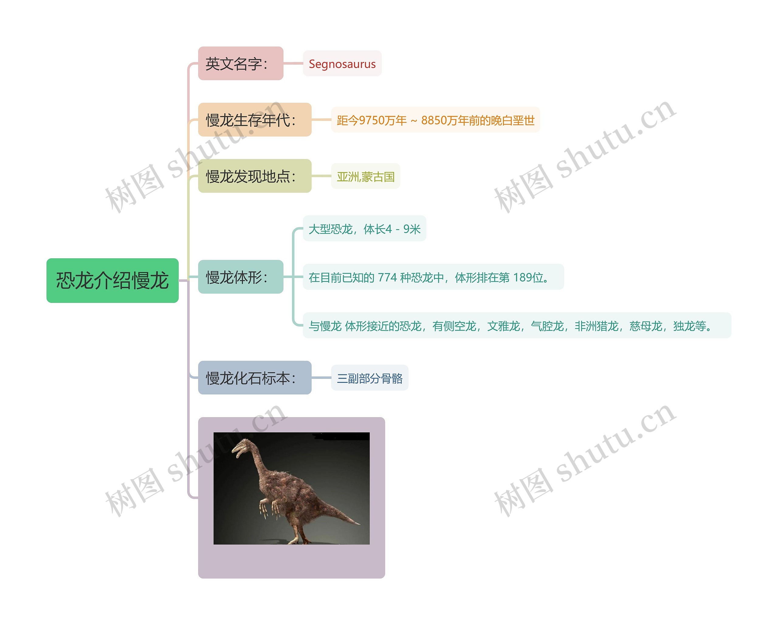 恐龙介绍慢龙思维导图