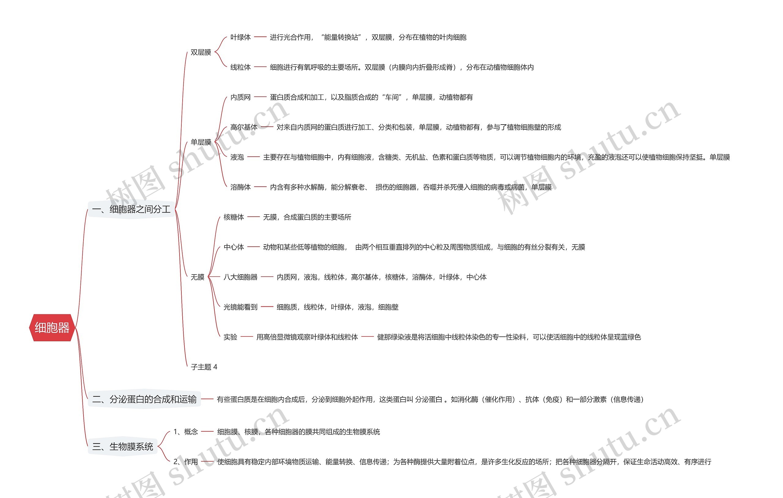 细胞器思维导图
