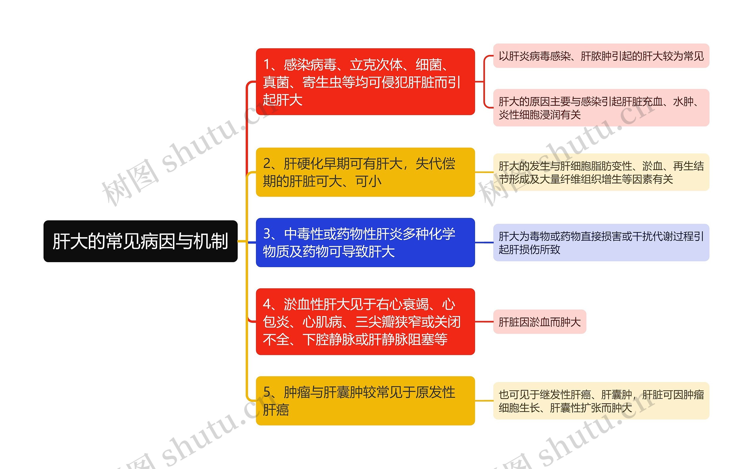 肝大的常见病因与机制思维导图