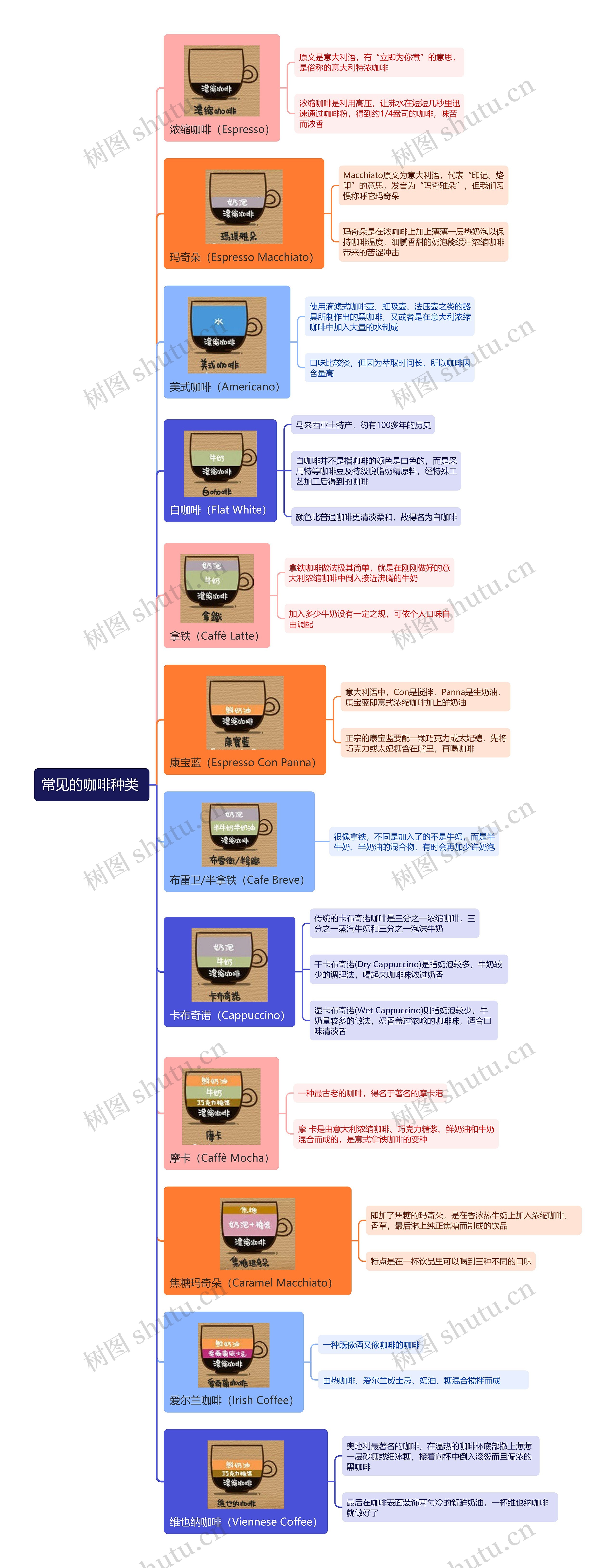 常见的咖啡种类 思维导图