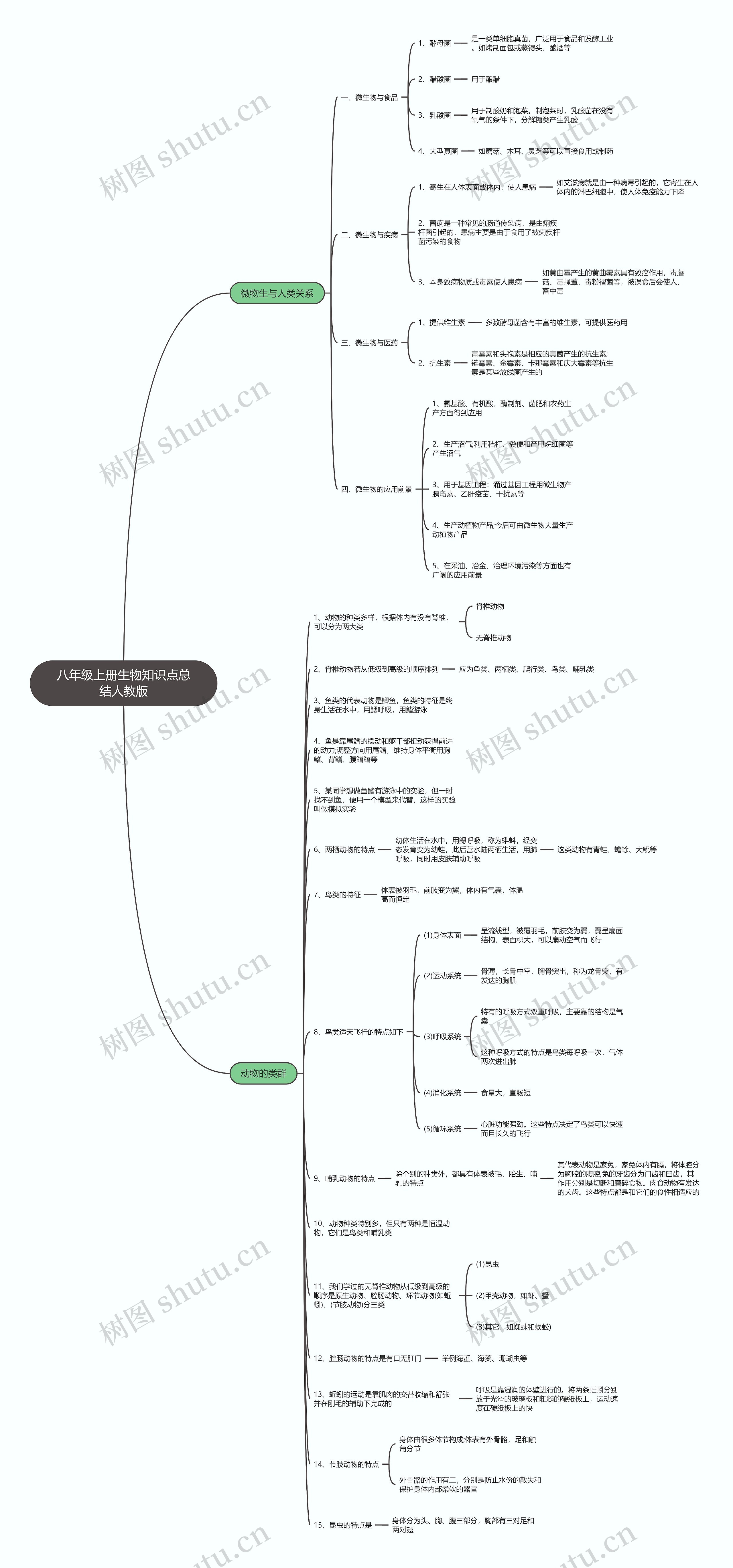 生物八年级上册知识点总结思维导图