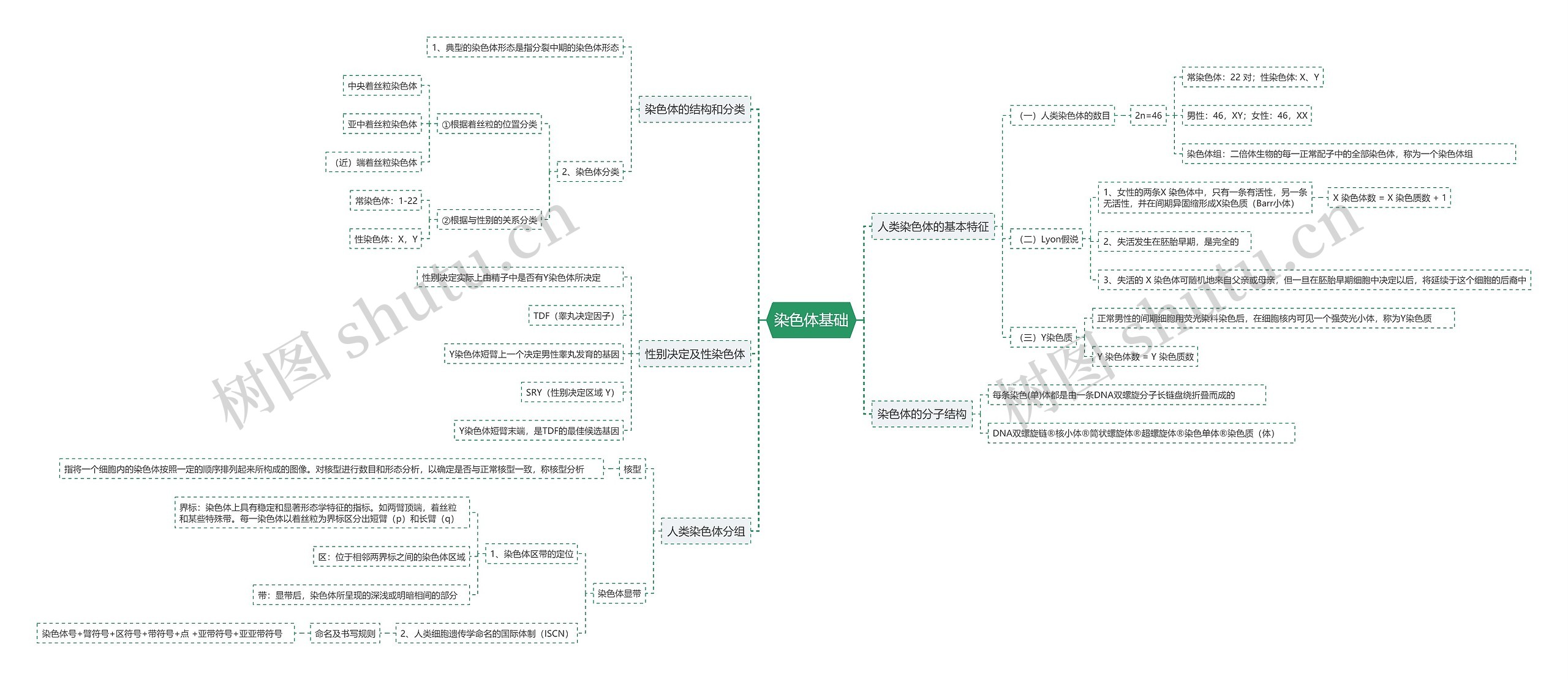 染色体基础思维导图