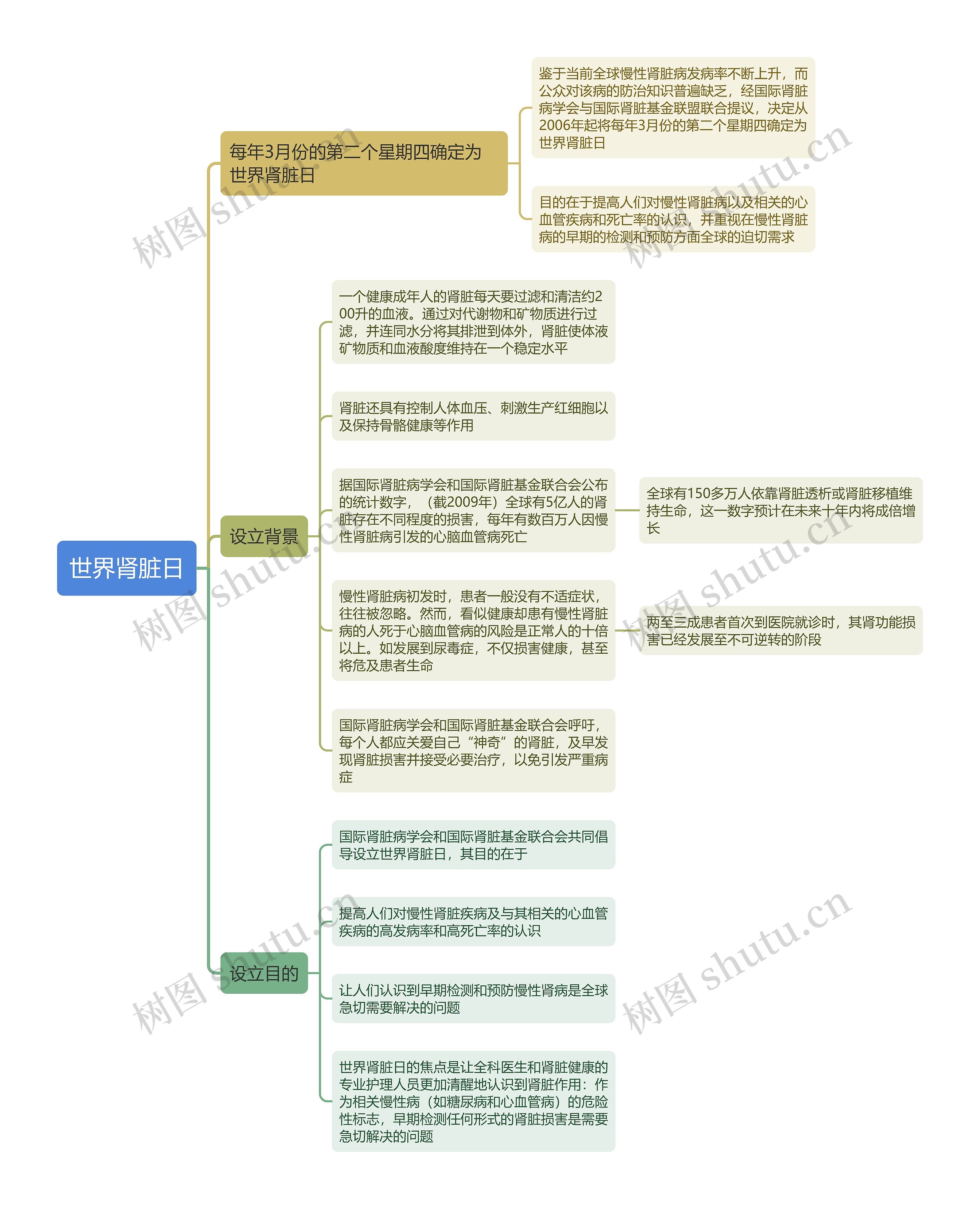 世界肾脏日思维导图