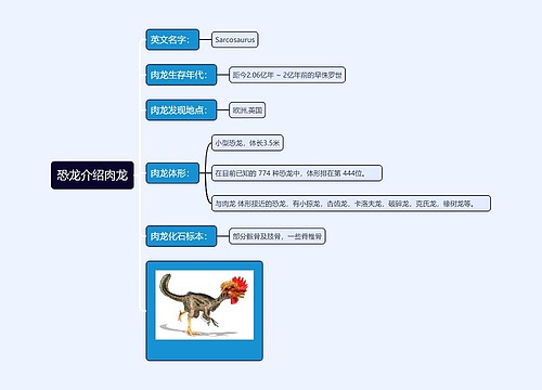 恐龙介绍肉龙