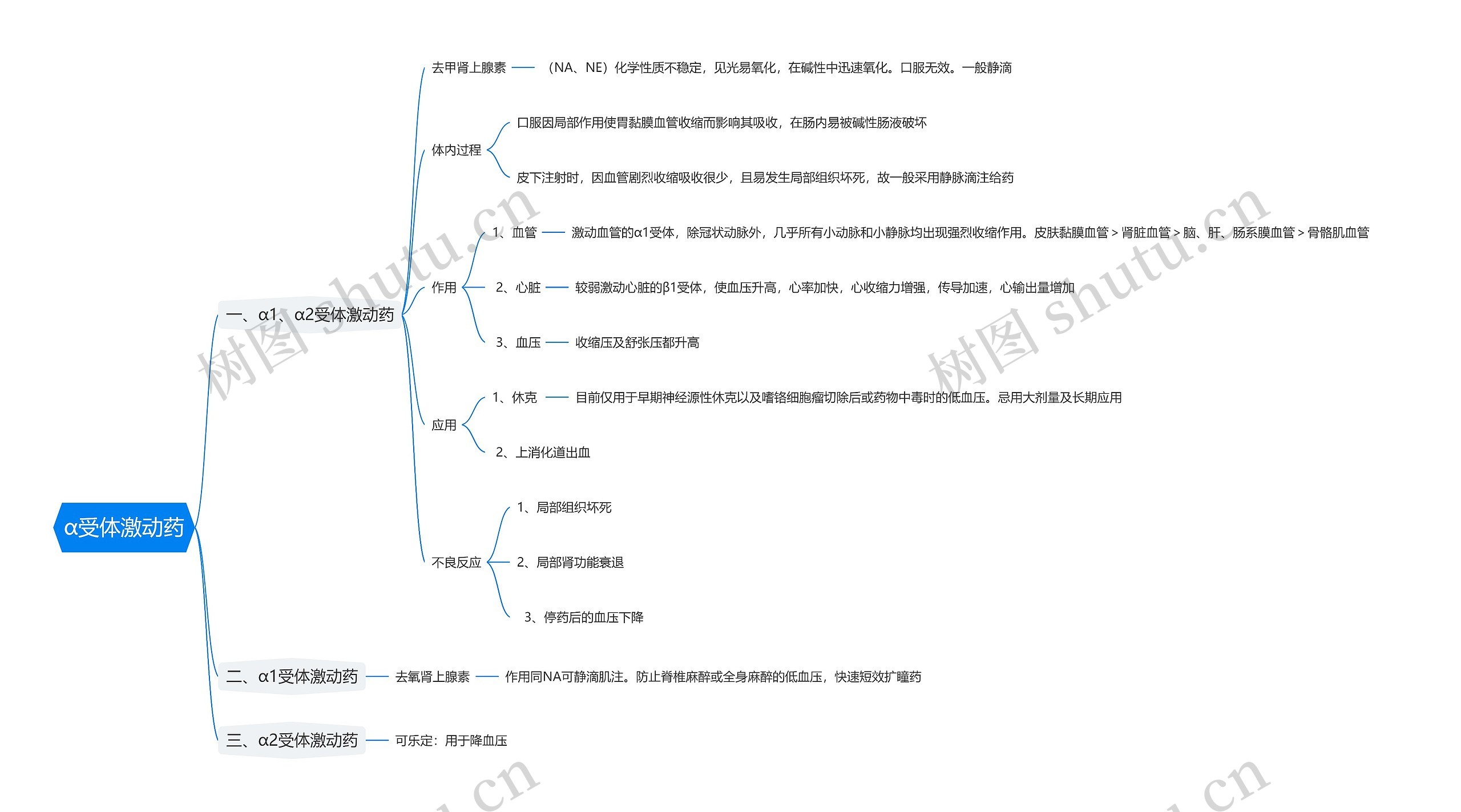 α受体激动药思维导图