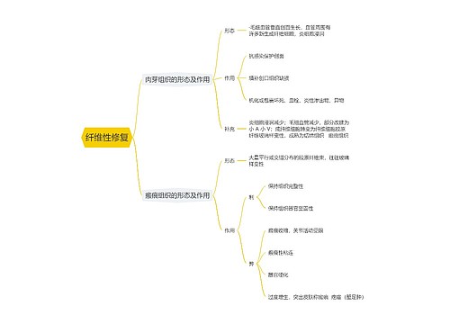 纤维性修复思维导图