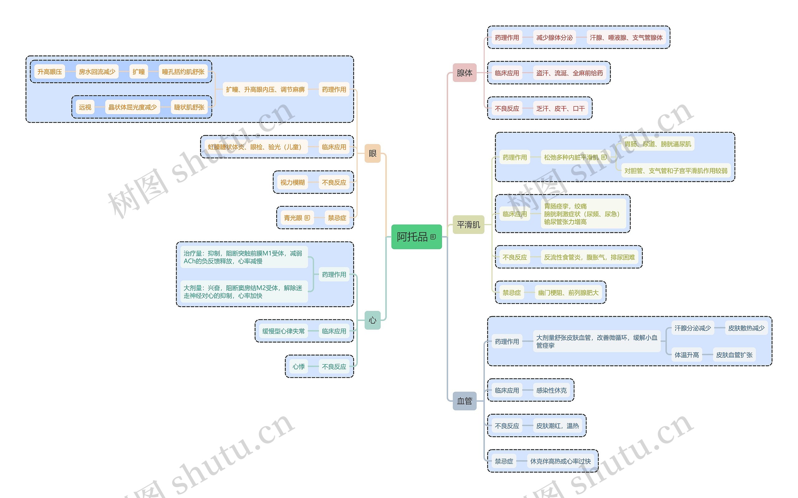 阿托品思维导图