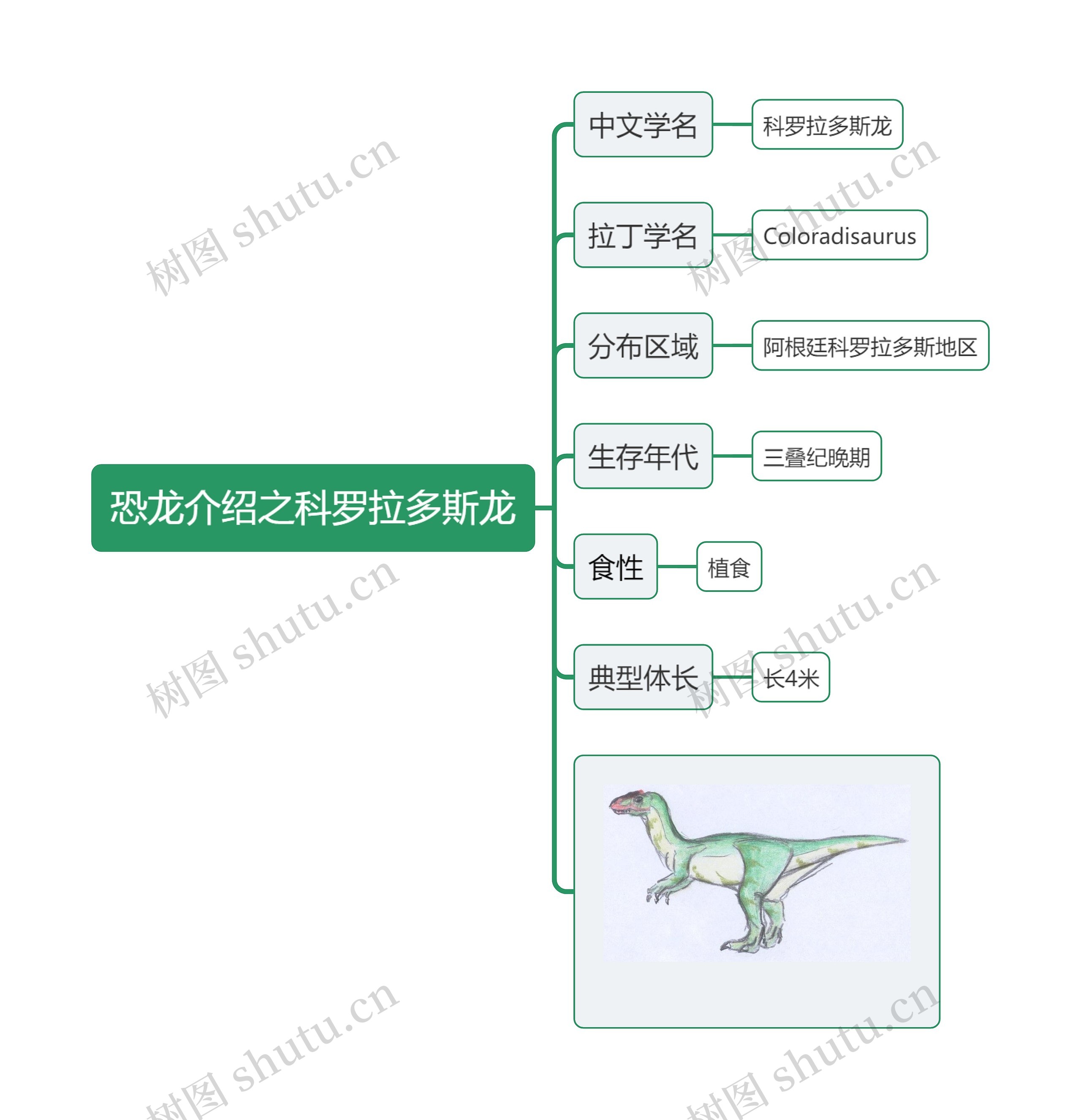 恐龙介绍之科罗拉多斯龙思维导图