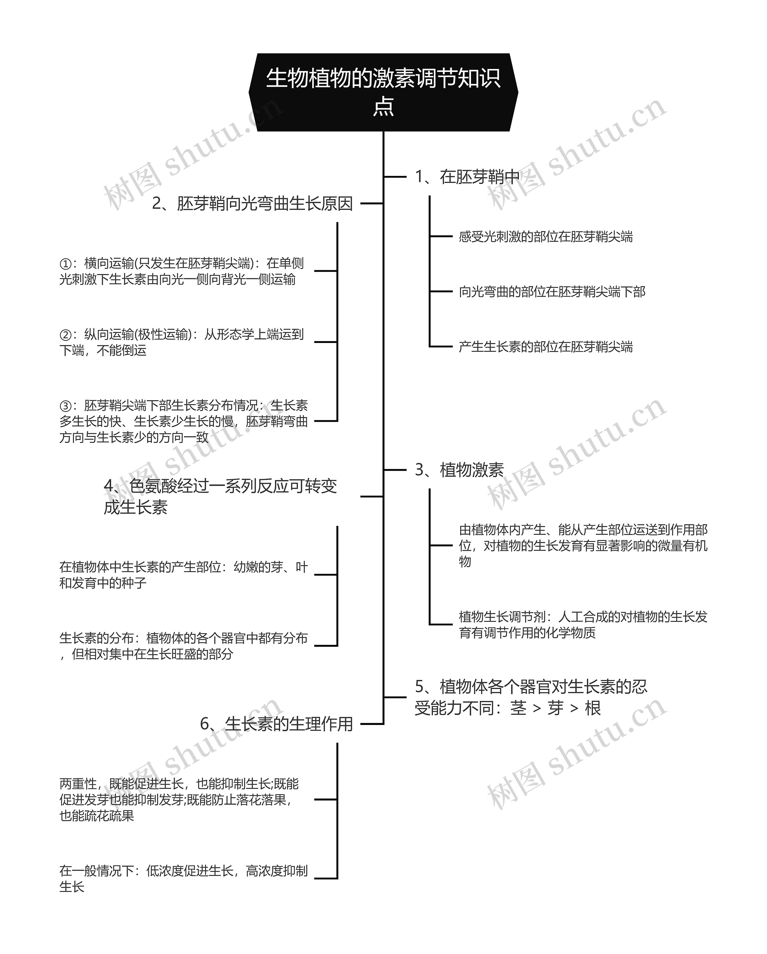 生物植物的激素调节知识点思维导图