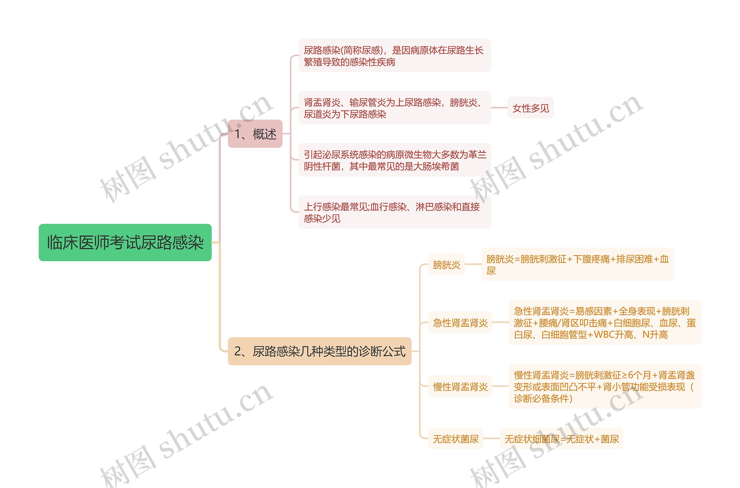 临床医师考试尿路感染思维导图 临床医师考试尿路感染思维导图