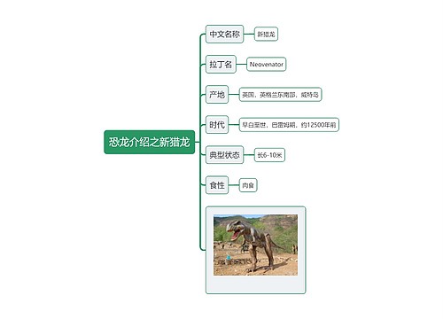 恐龙介绍之新猎龙思维导图