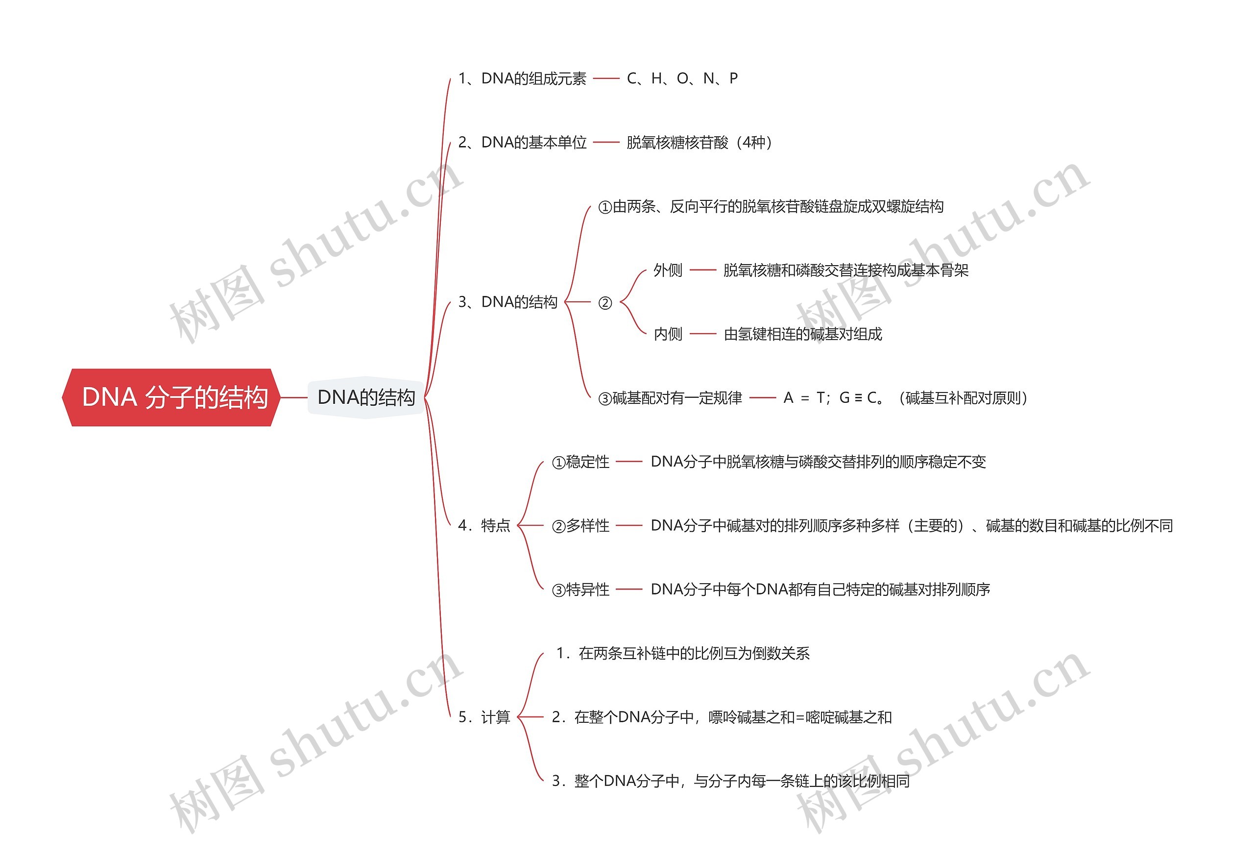  DNA 分子的结构思维导图