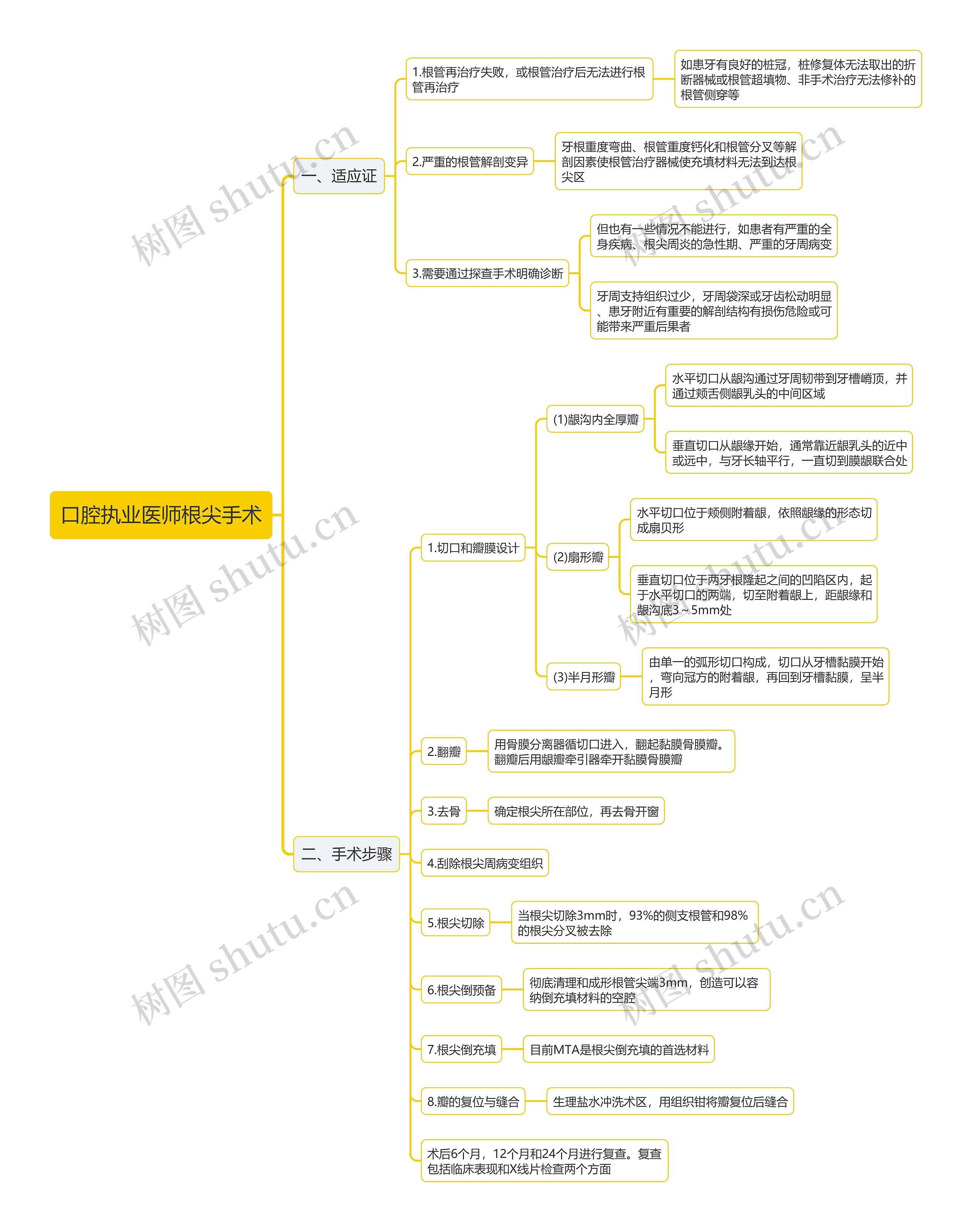 口腔执业医师根尖手术思维导图