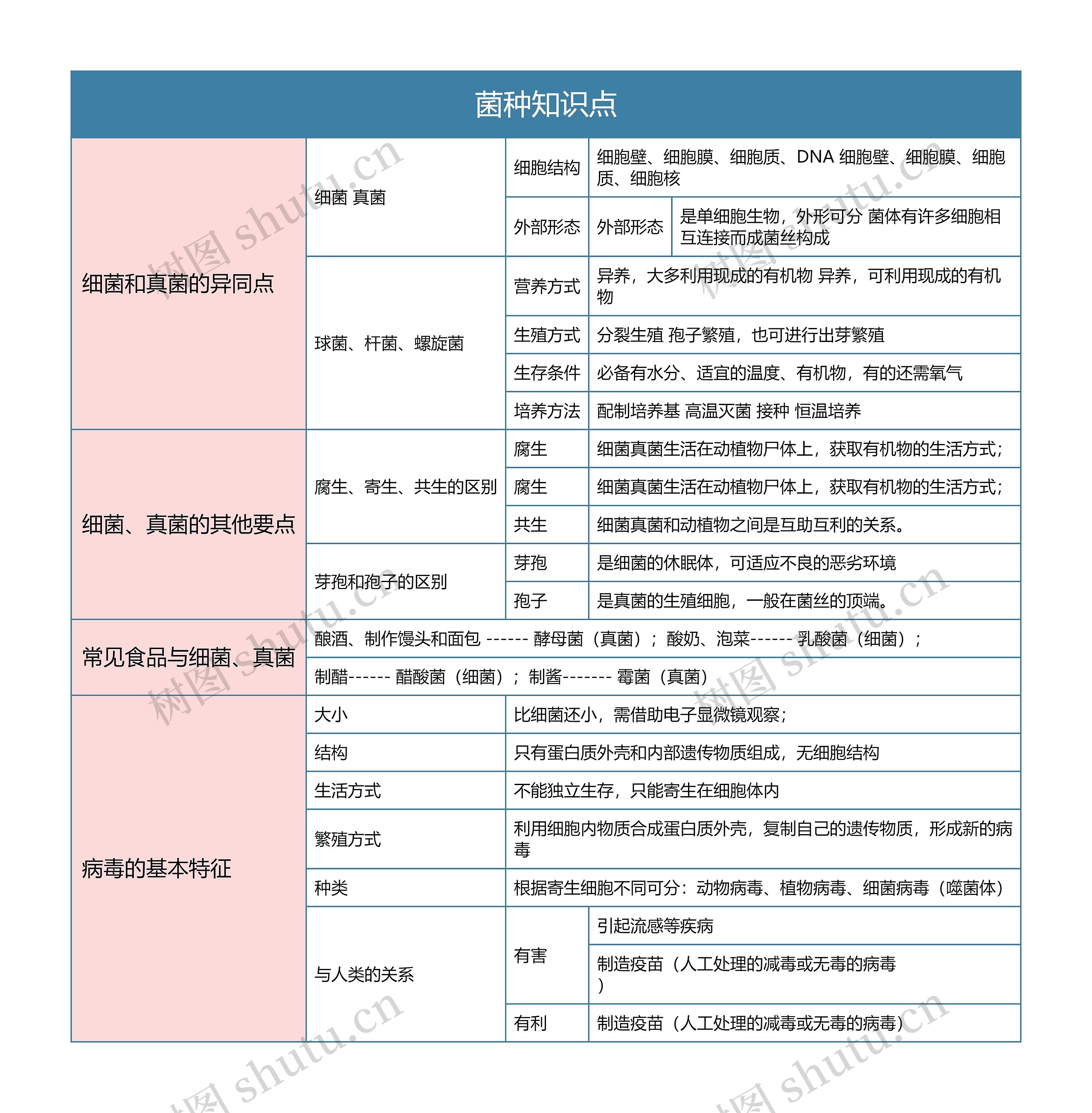 菌种知识点1思维导图