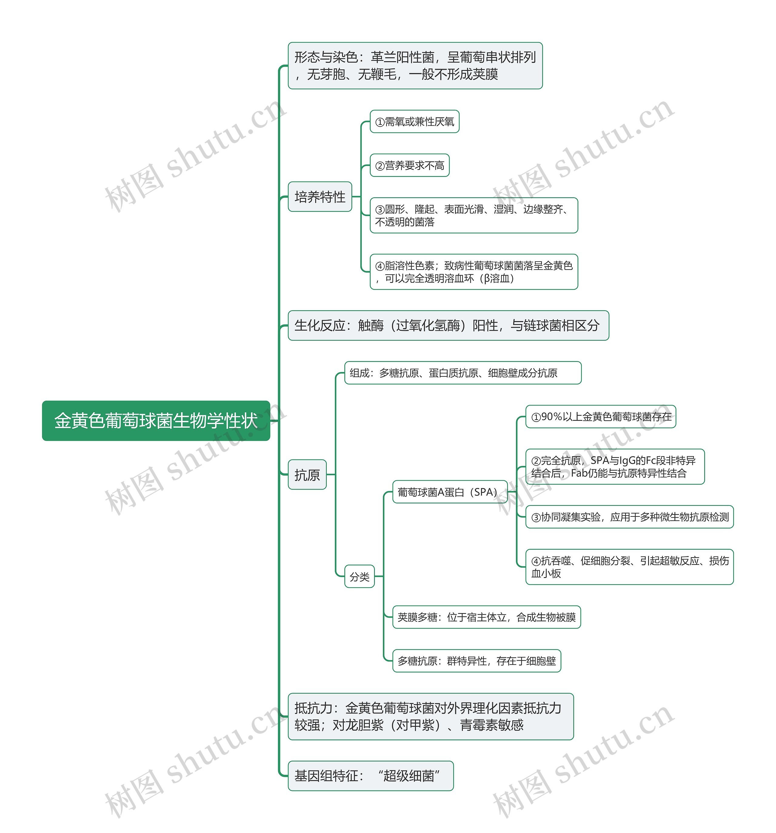 金黄色葡萄球菌生物学性状思维导图