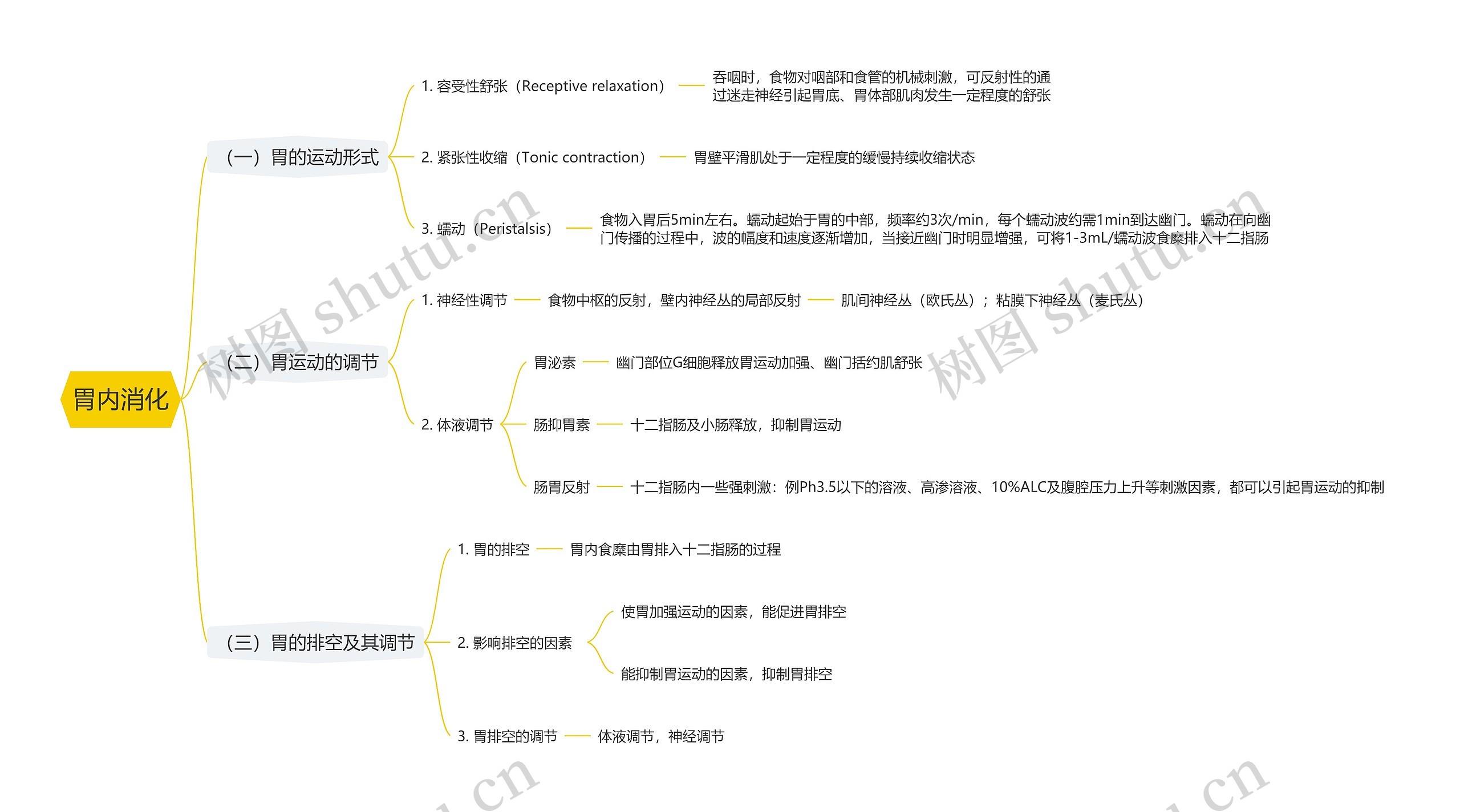 胃内消化思维导图