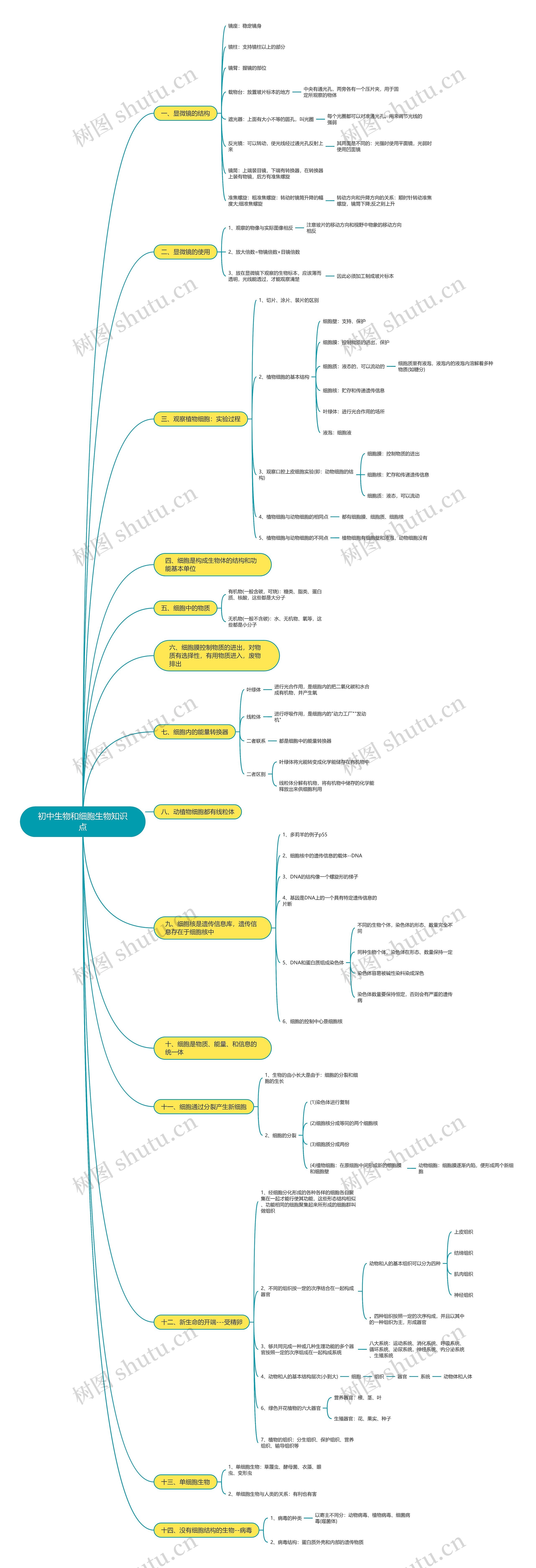 初中生物和细胞生物思维导图