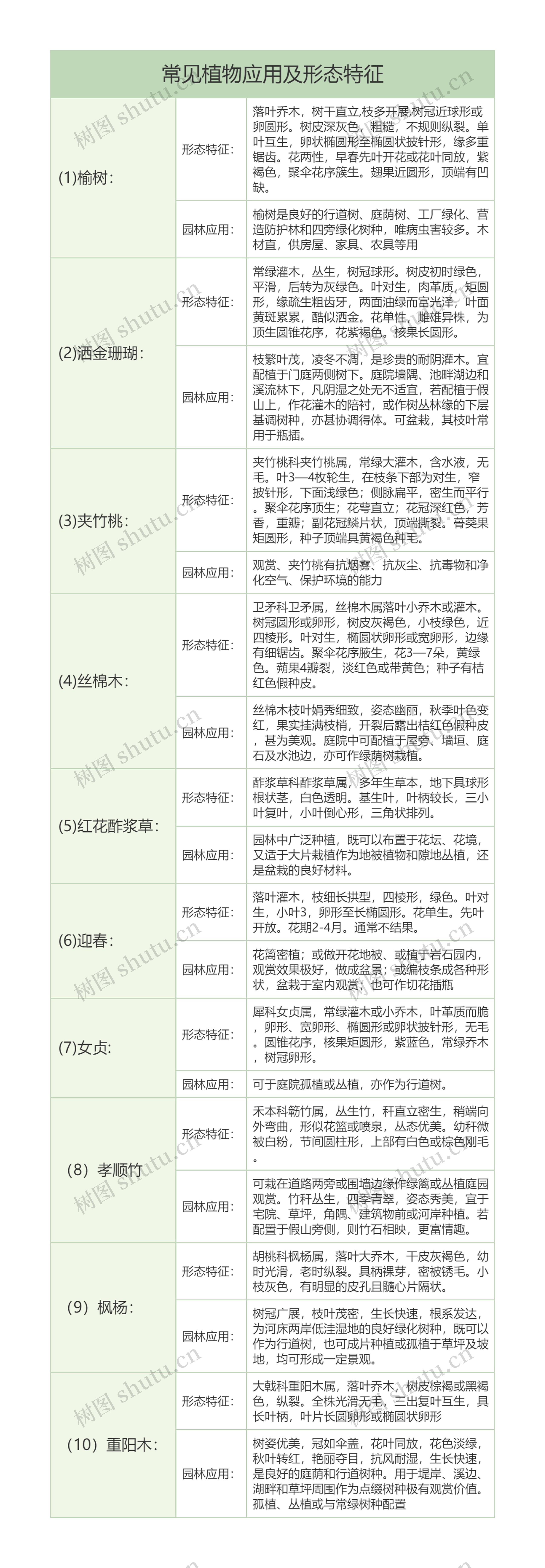 生物知识常见植物榆树等应用及形态特征树形表格思维导图