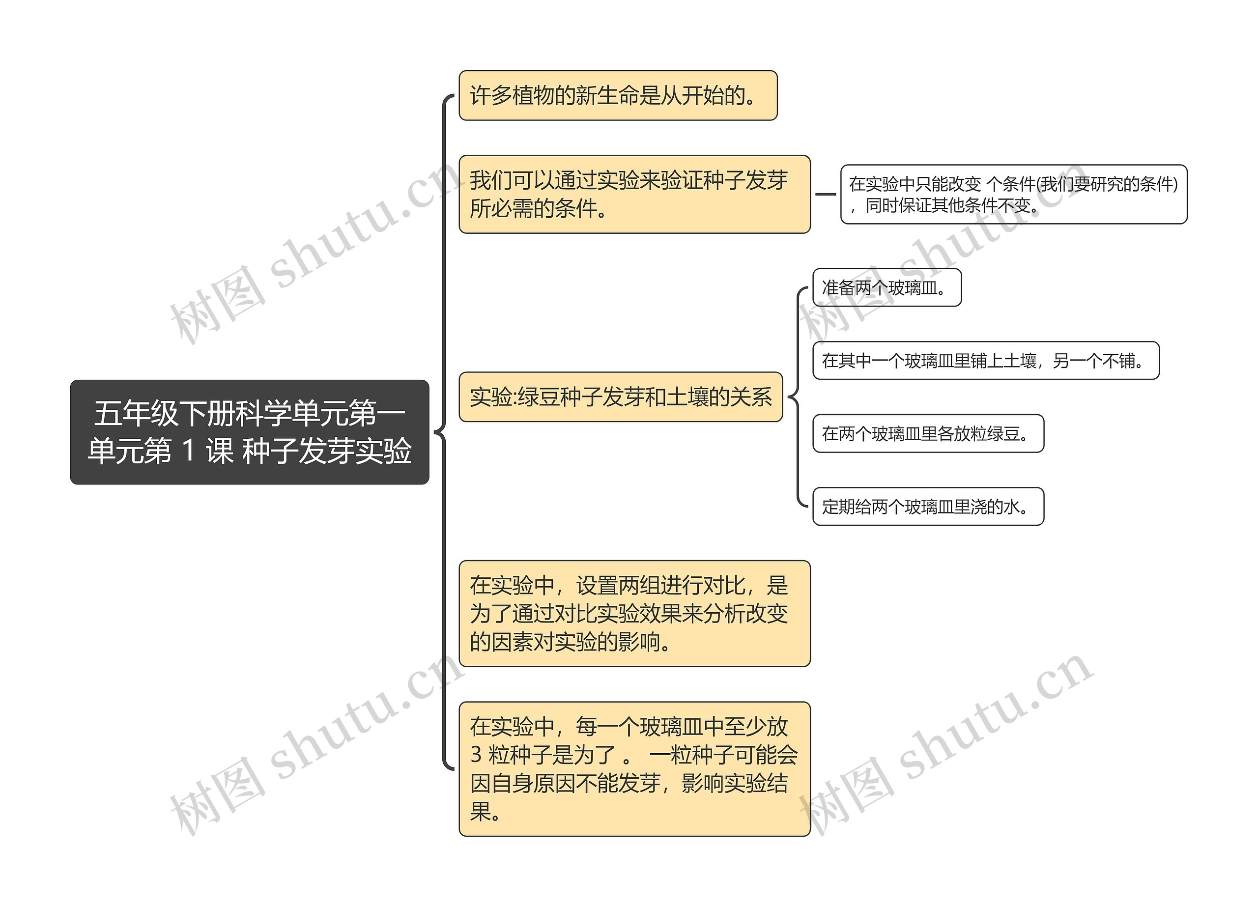 五年级下册科学单元第一单元第 1 课 种子发芽实验