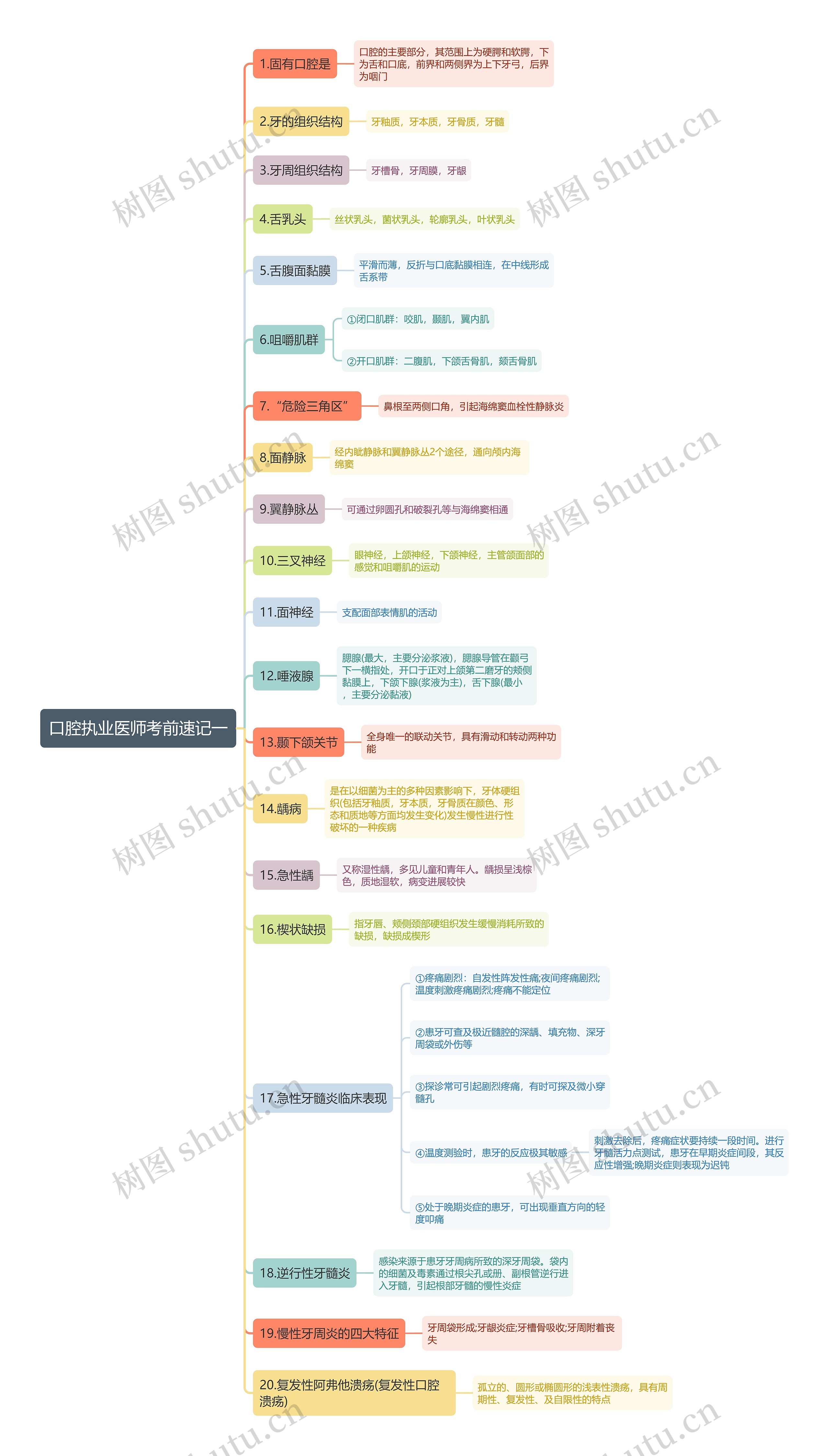口腔执业医师考前速记一思维导图