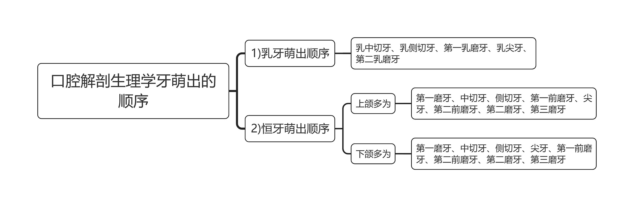 口腔解剖生理学牙萌出的顺序思维导图 口腔解剖生理学牙萌出的顺序思维导图