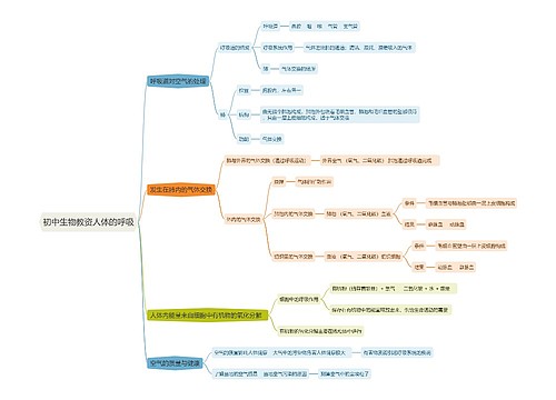 初中生物教资人体的呼吸思维导图