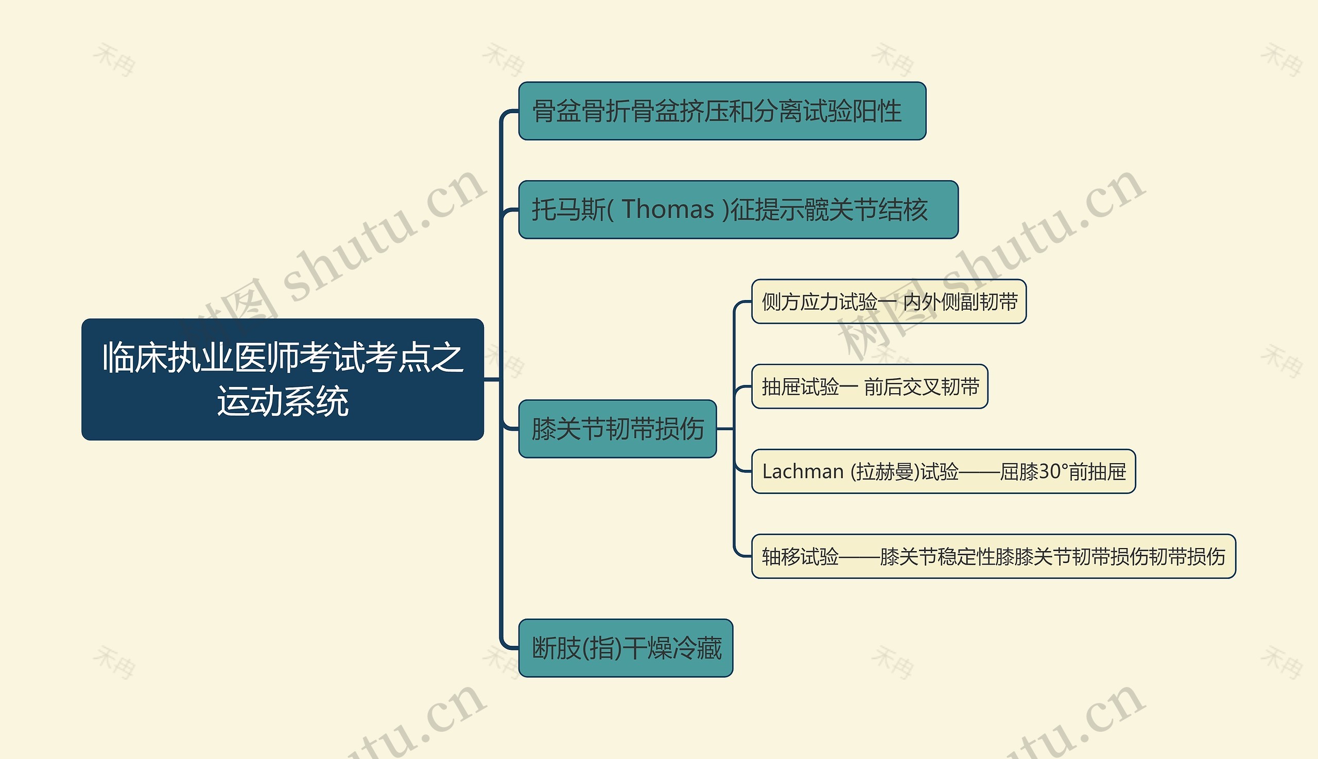 临床执业医师考试考点之运动系统思维导图