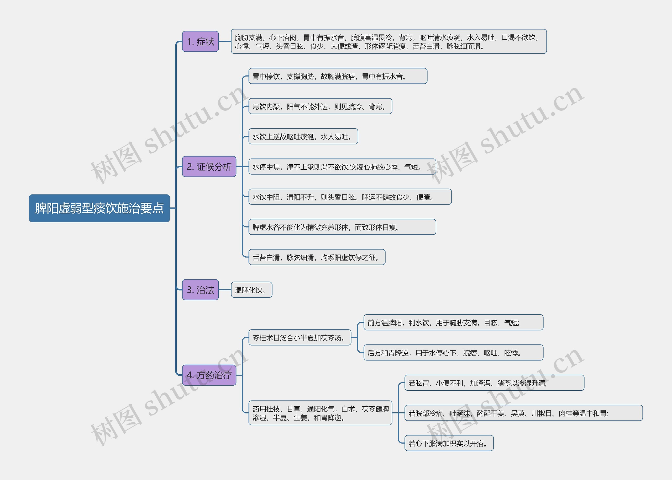 脾阳虚弱型痰饮施治要点思维导图