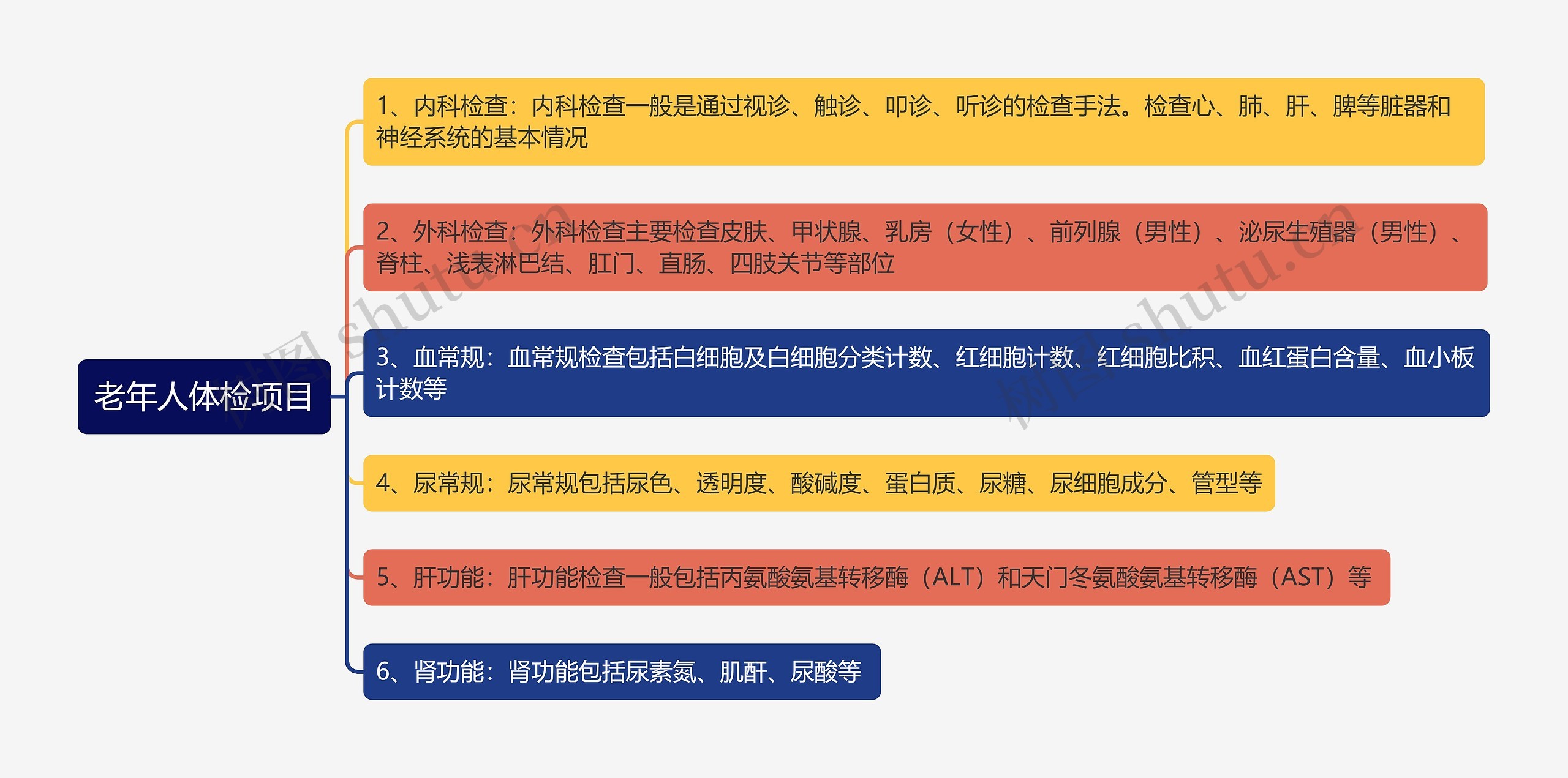 老年人体检项目思维导图