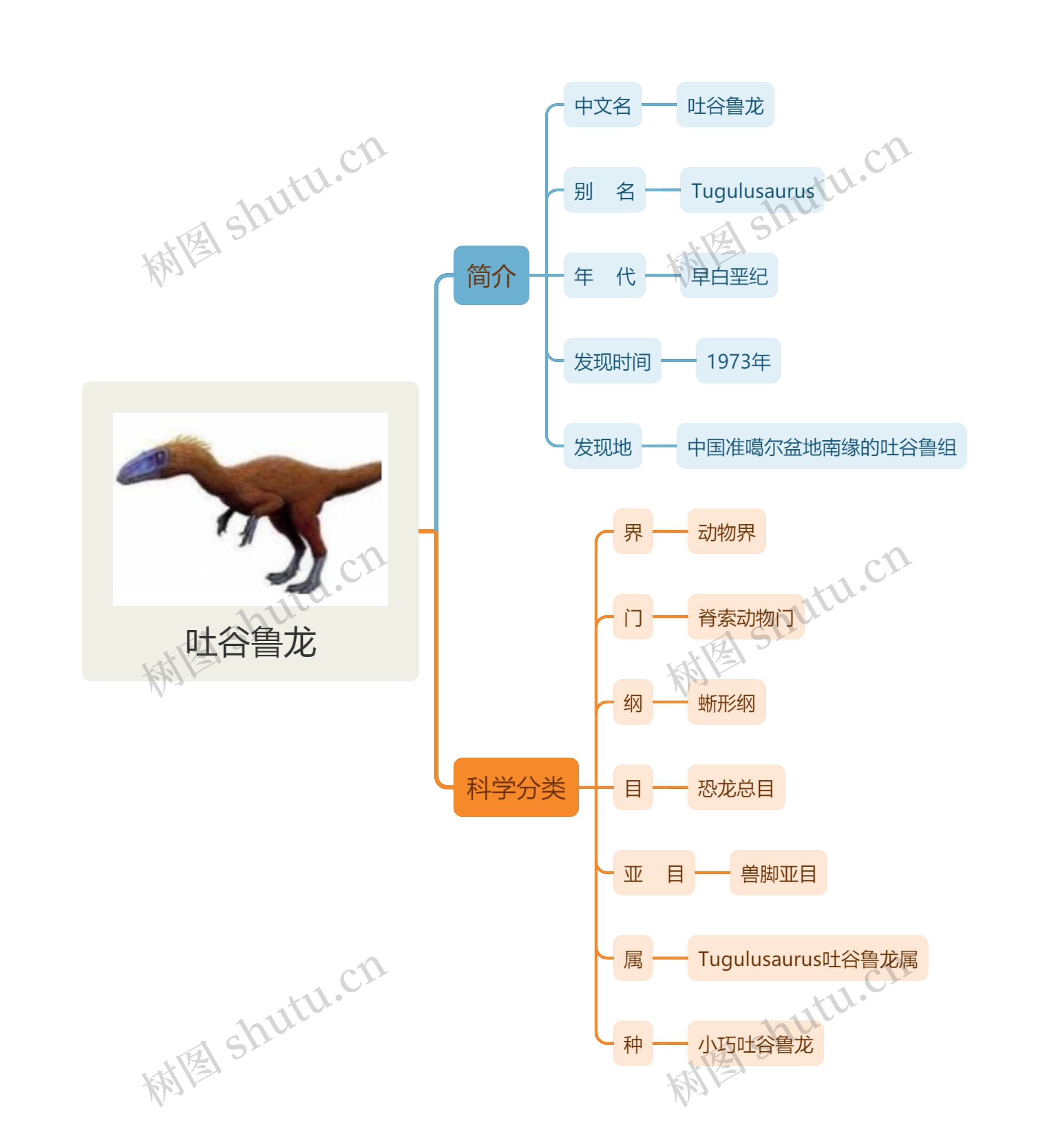 吐谷鲁龙思维导图