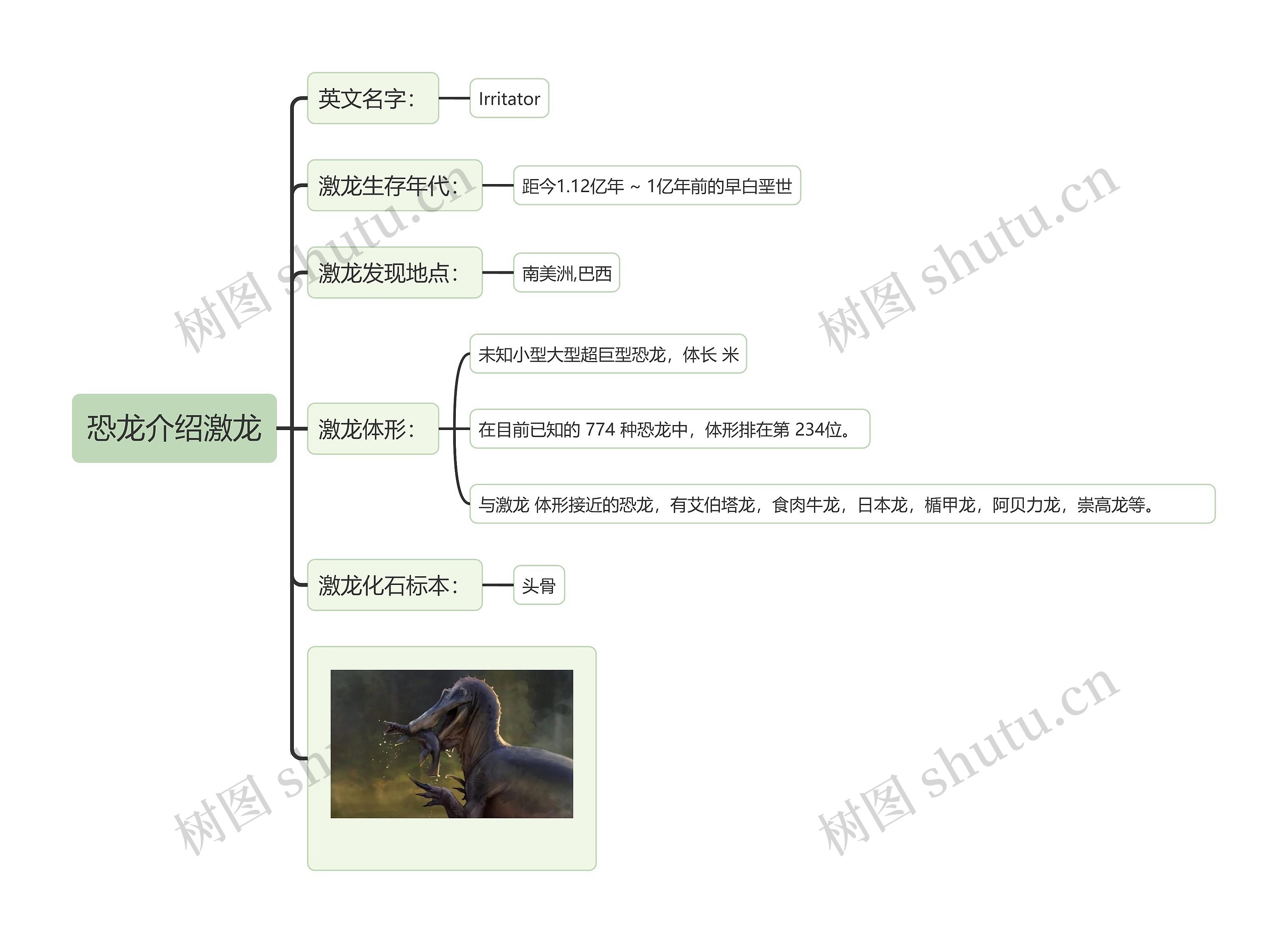 恐龙介绍激龙思维导图