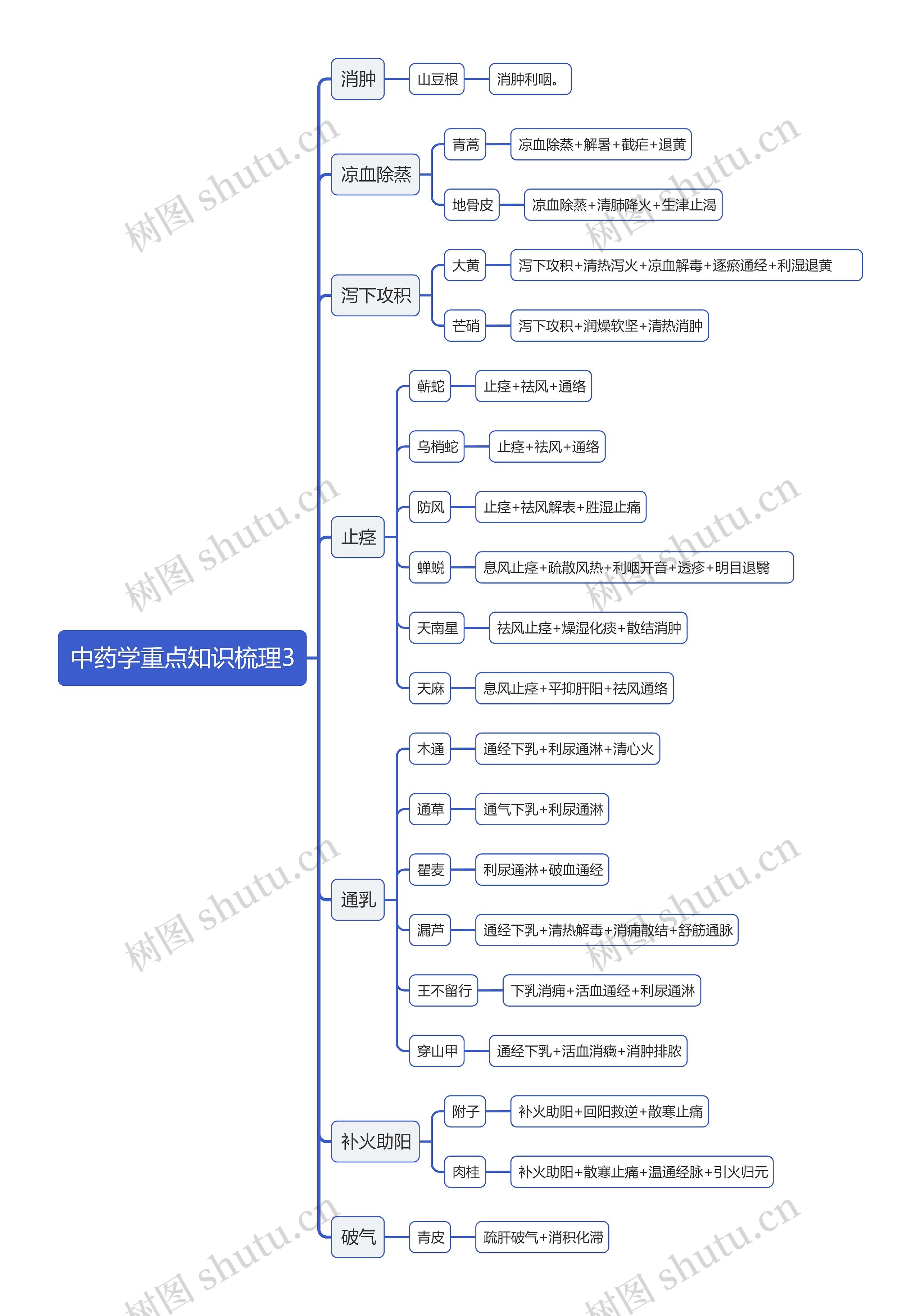 中药学重点知识梳理3思维导图