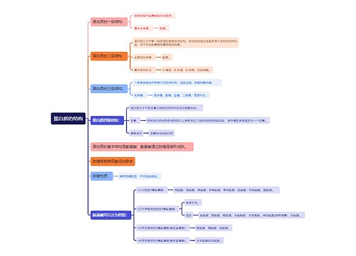 蛋白质的结构思维导图